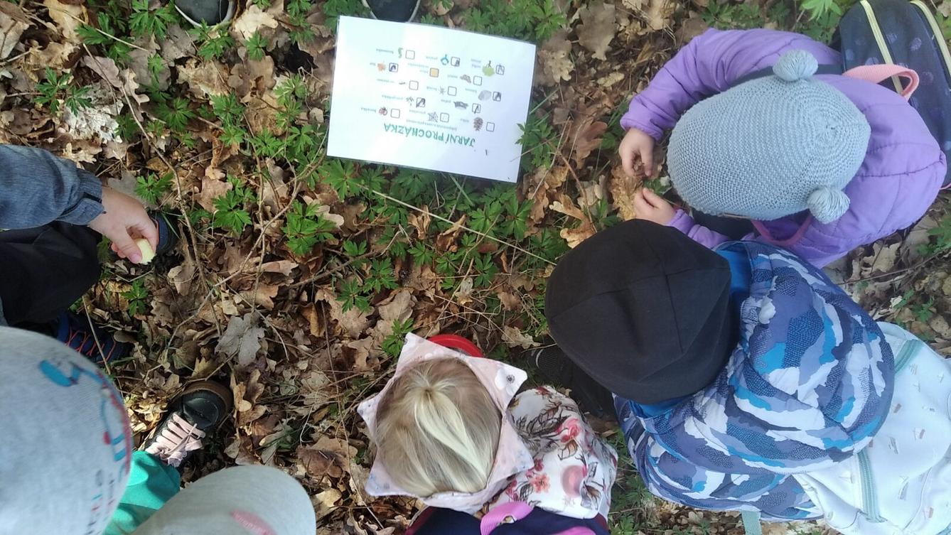 broučci: Co si brouká jarní louka... - 40