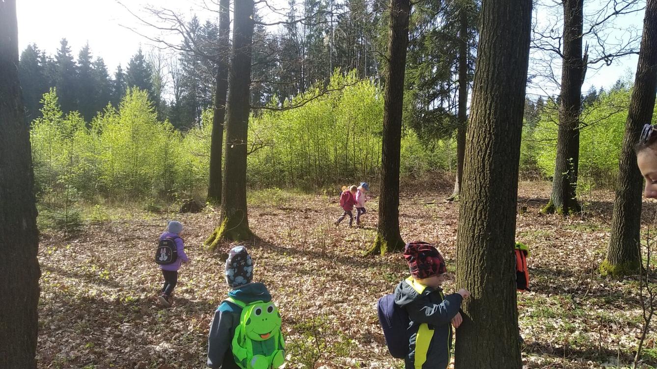 broučci: Co si brouká jarní louka... - 41