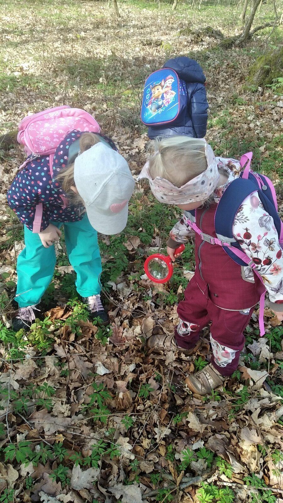 broučci: Co si brouká jarní louka... - 42