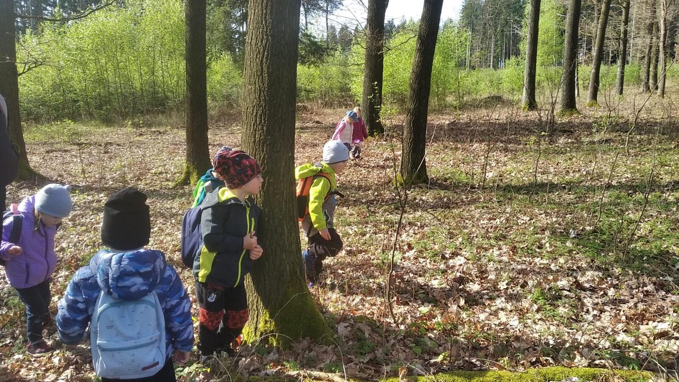 broučci: Co si brouká jarní louka... - 43