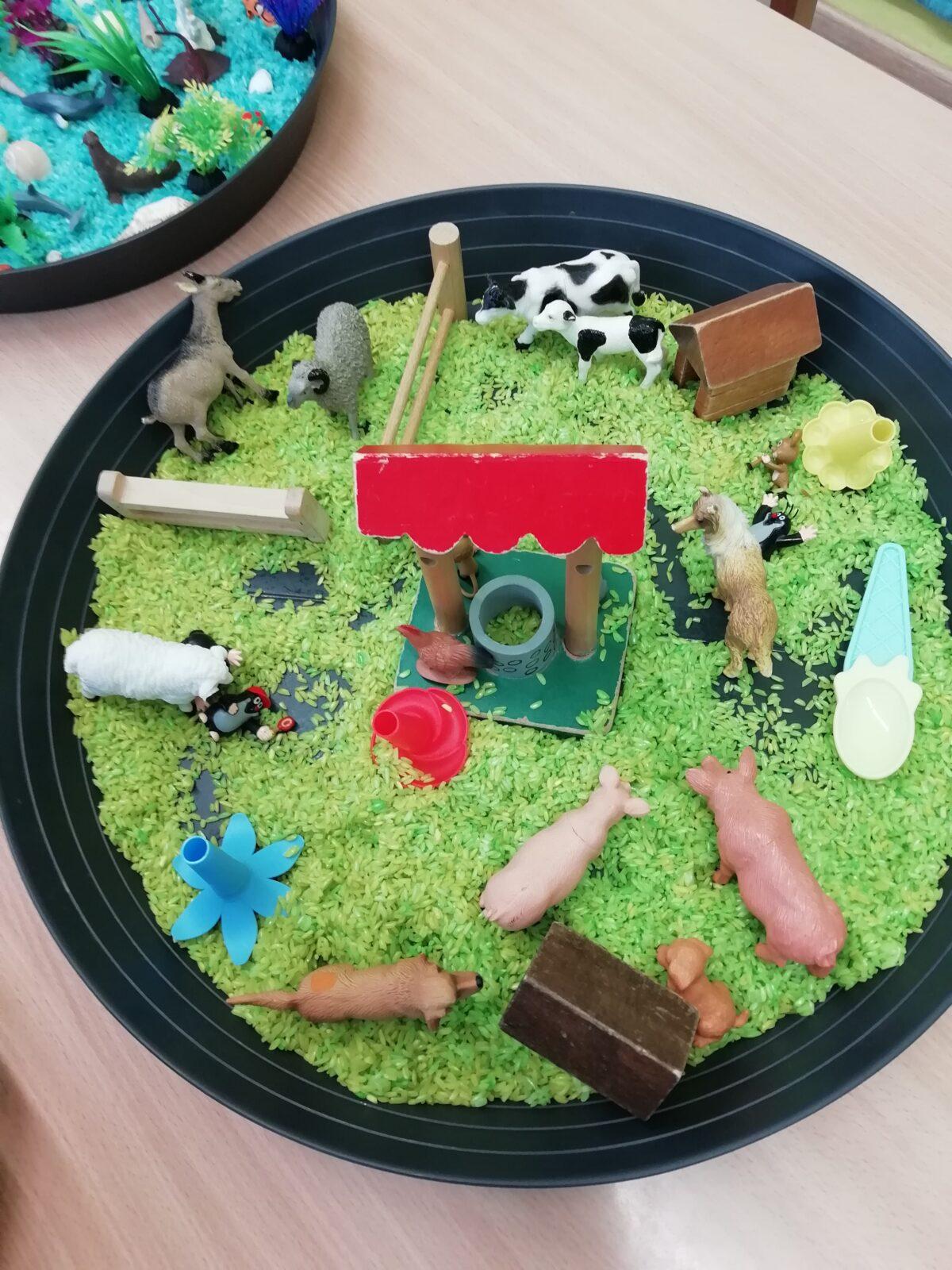 Broučci - společné chvilky nejen s novými kamarády - 10