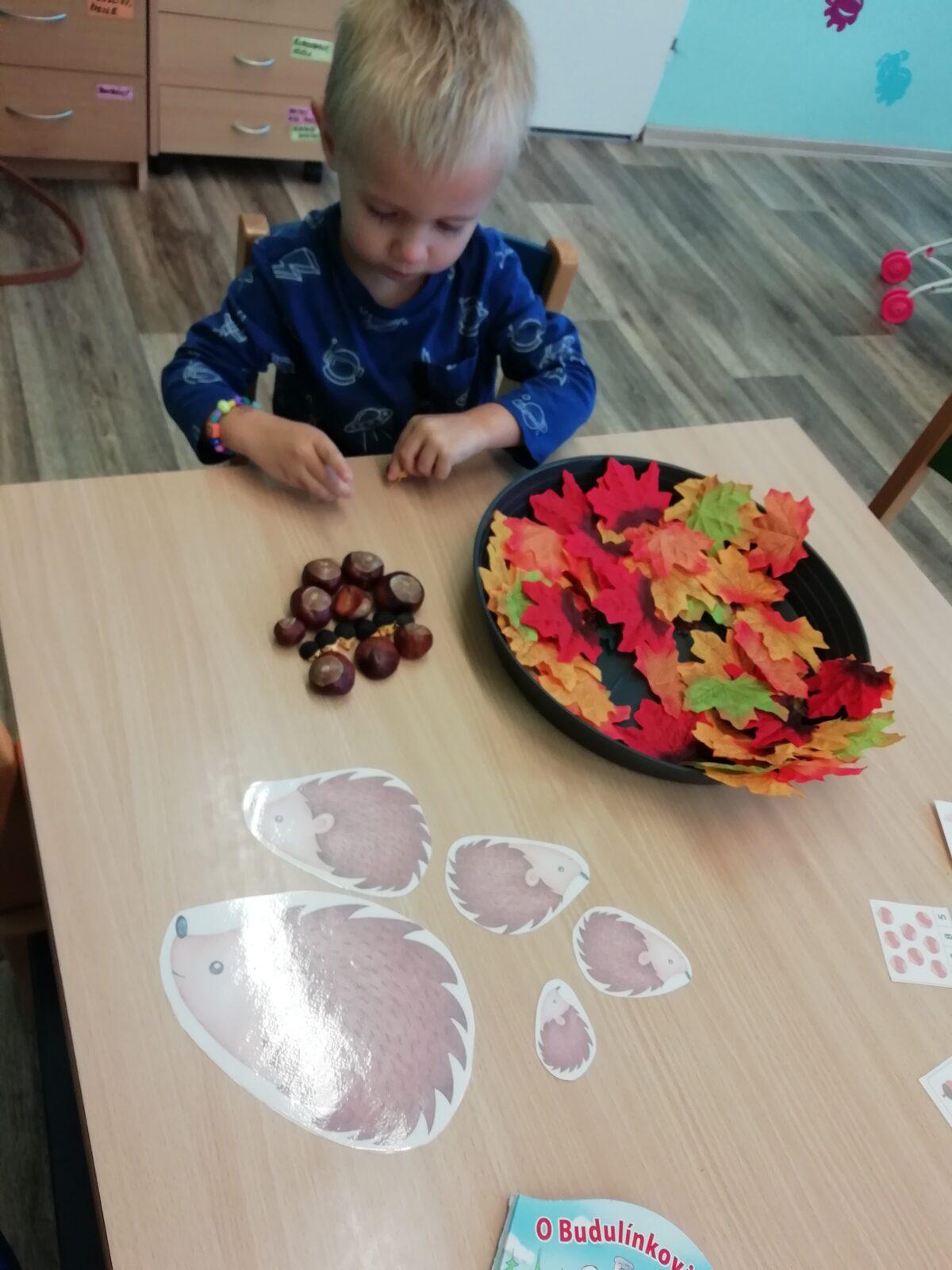 Broučci - Poznáváme les a lesní stezka ve školce - 15