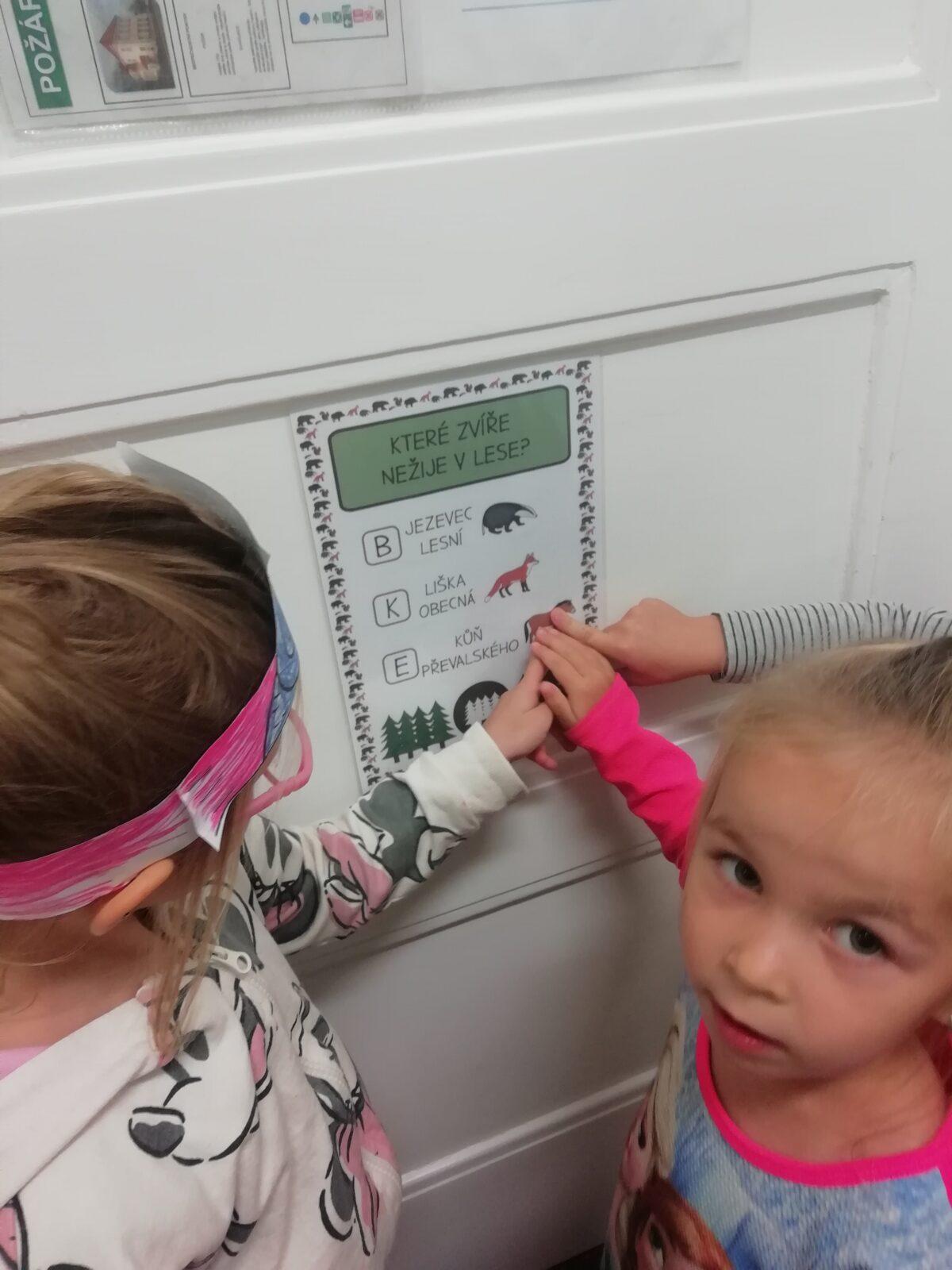 Broučci - Poznáváme les a lesní stezka ve školce - 26