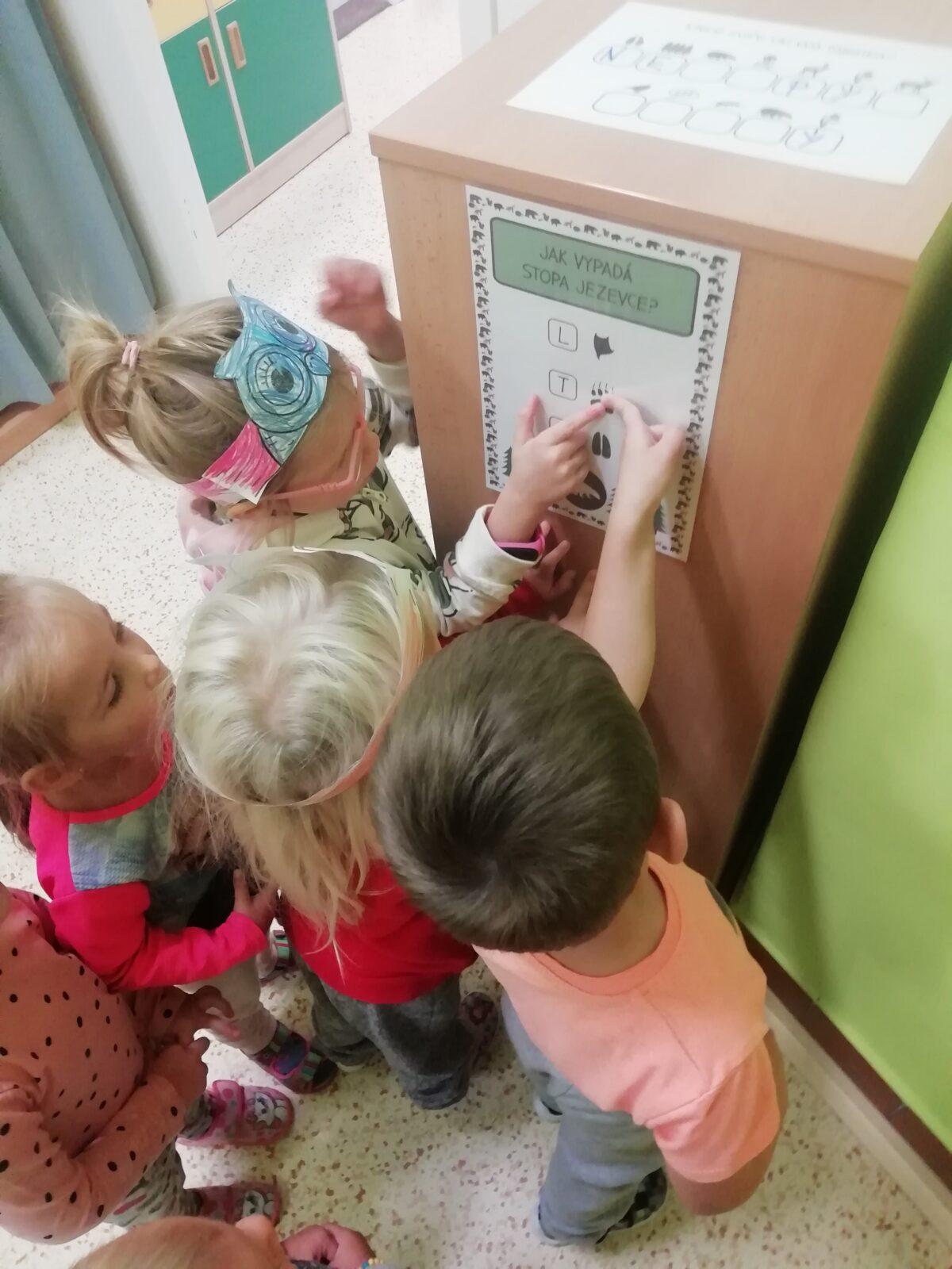 Broučci - Poznáváme les a lesní stezka ve školce - 29