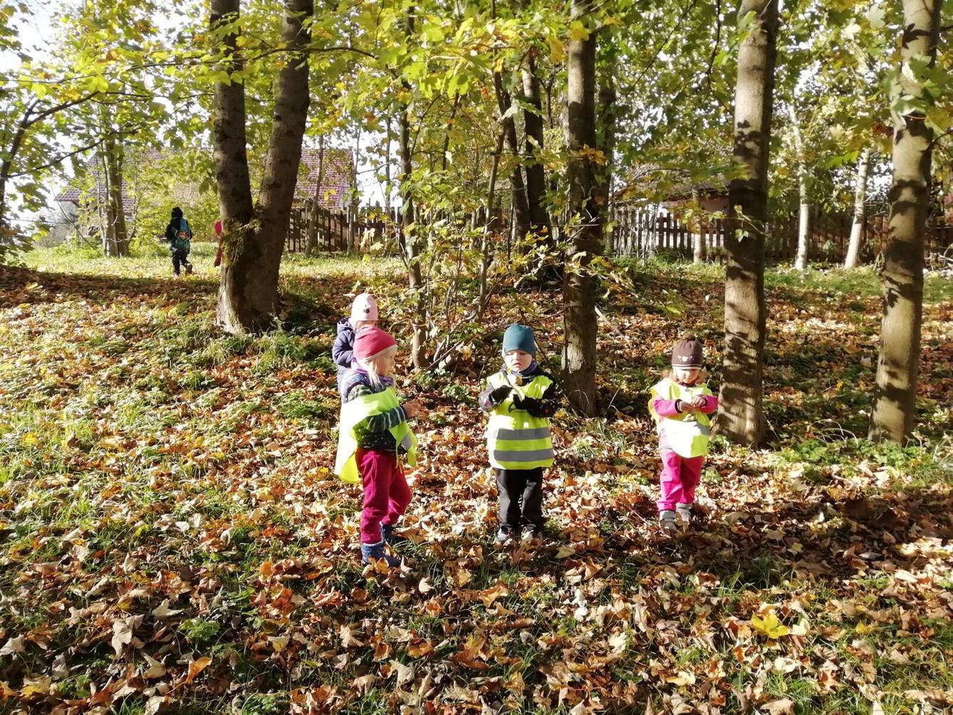 Broučci - Listí žloutne, poletuje - 1