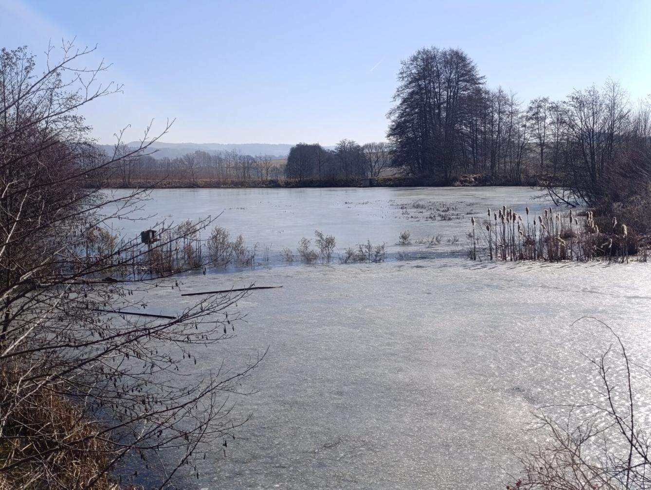 broučci a sovičky: „cestou necestou...“ - 58