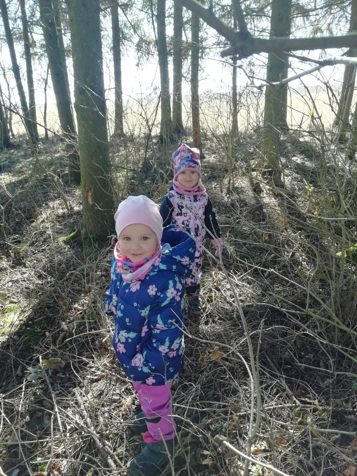 BROUČCI - ,,O ZAKLETÝCH STROMECH, PŘIŠLO JARO DO VSI´´ - 46