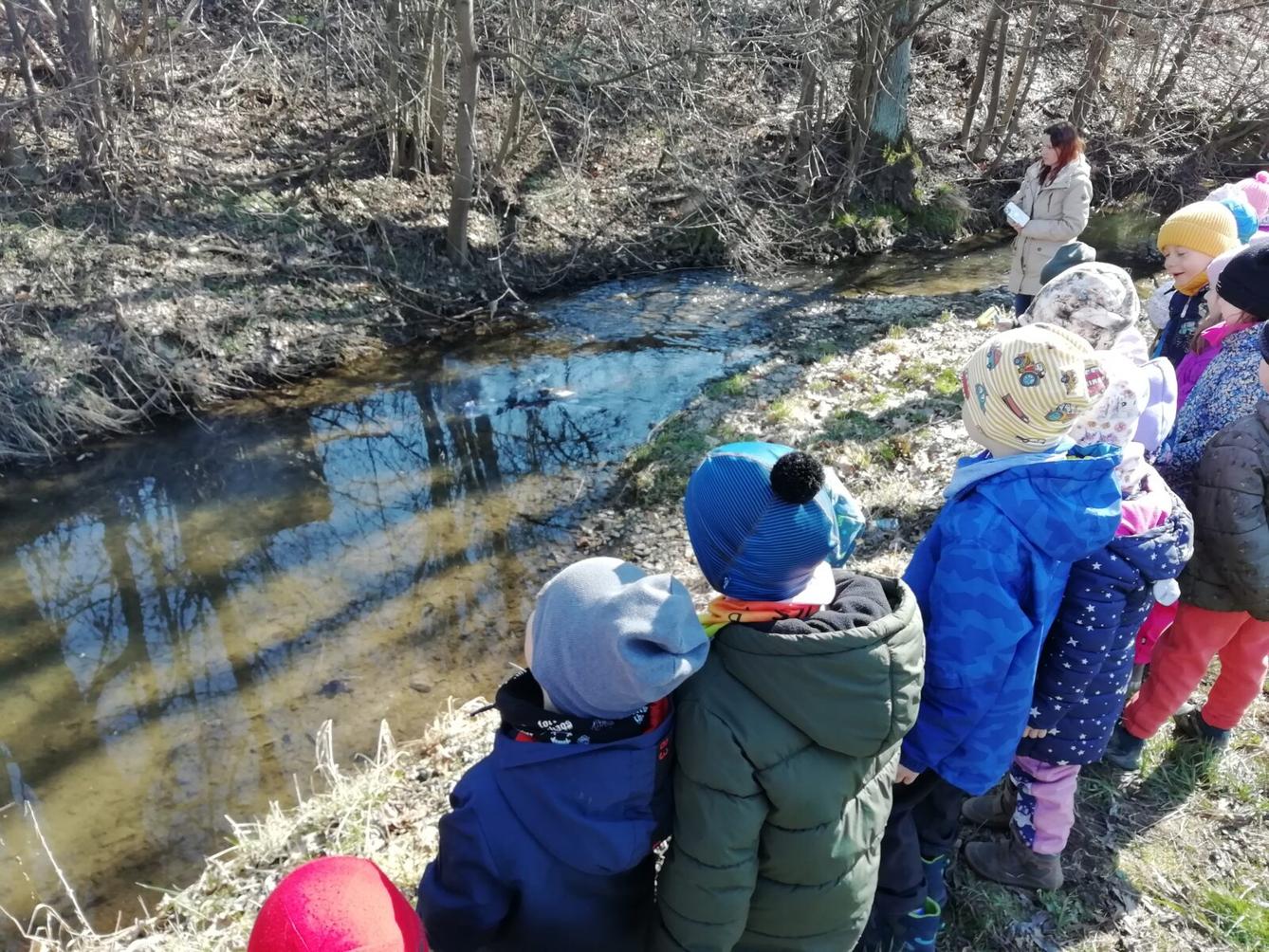 BROUČCI - ,,O ZAKLETÝCH STROMECH, PŘIŠLO JARO DO VSI´´ - 52