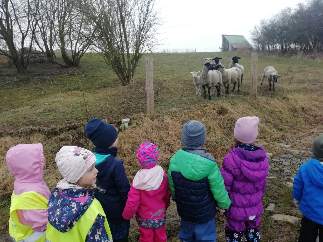 Broučci - Máme rádi zvířátka - 14