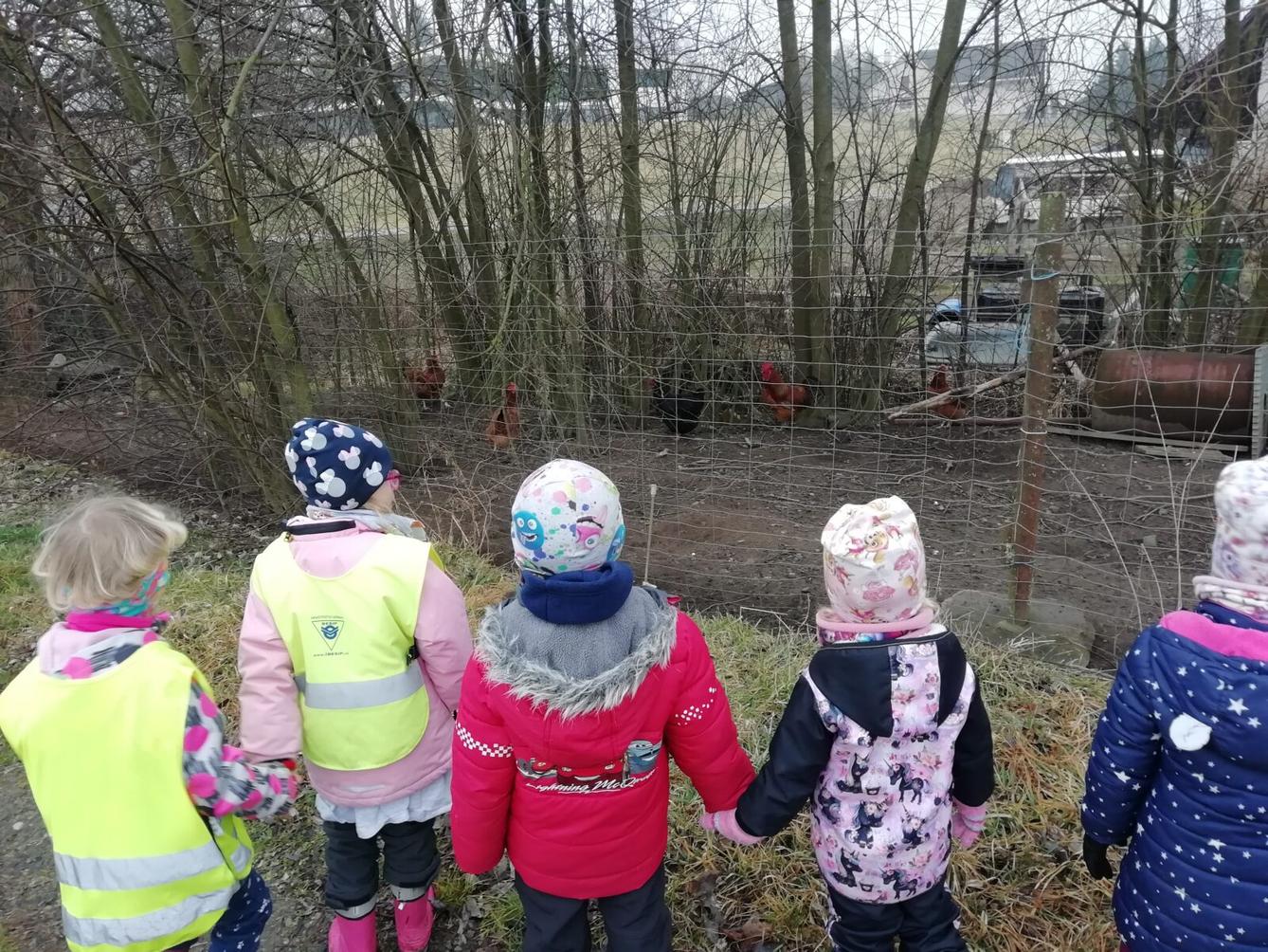 Broučci - Máme rádi zvířátka - 15