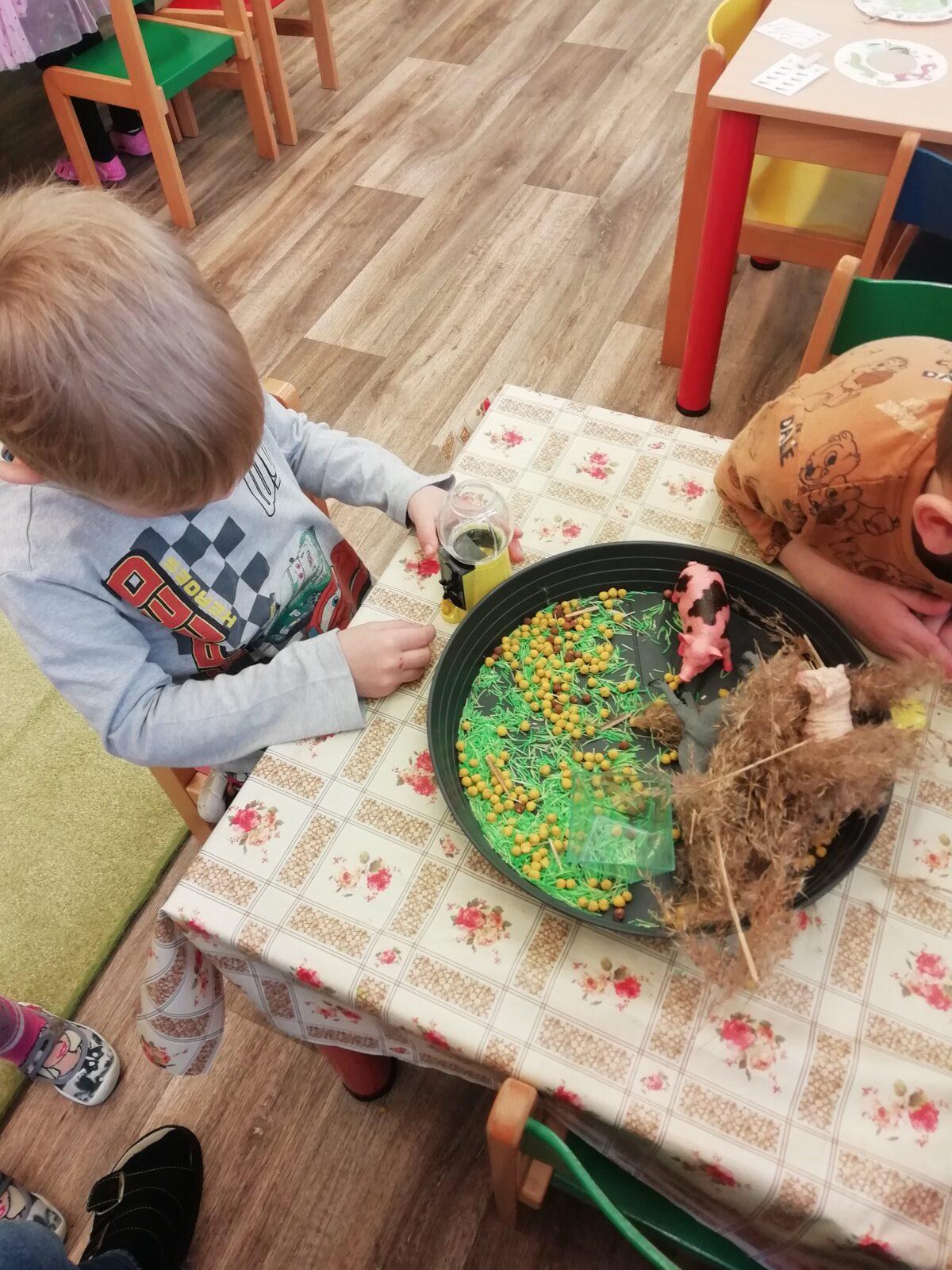 Broučci - Máme rádi zvířátka - 27