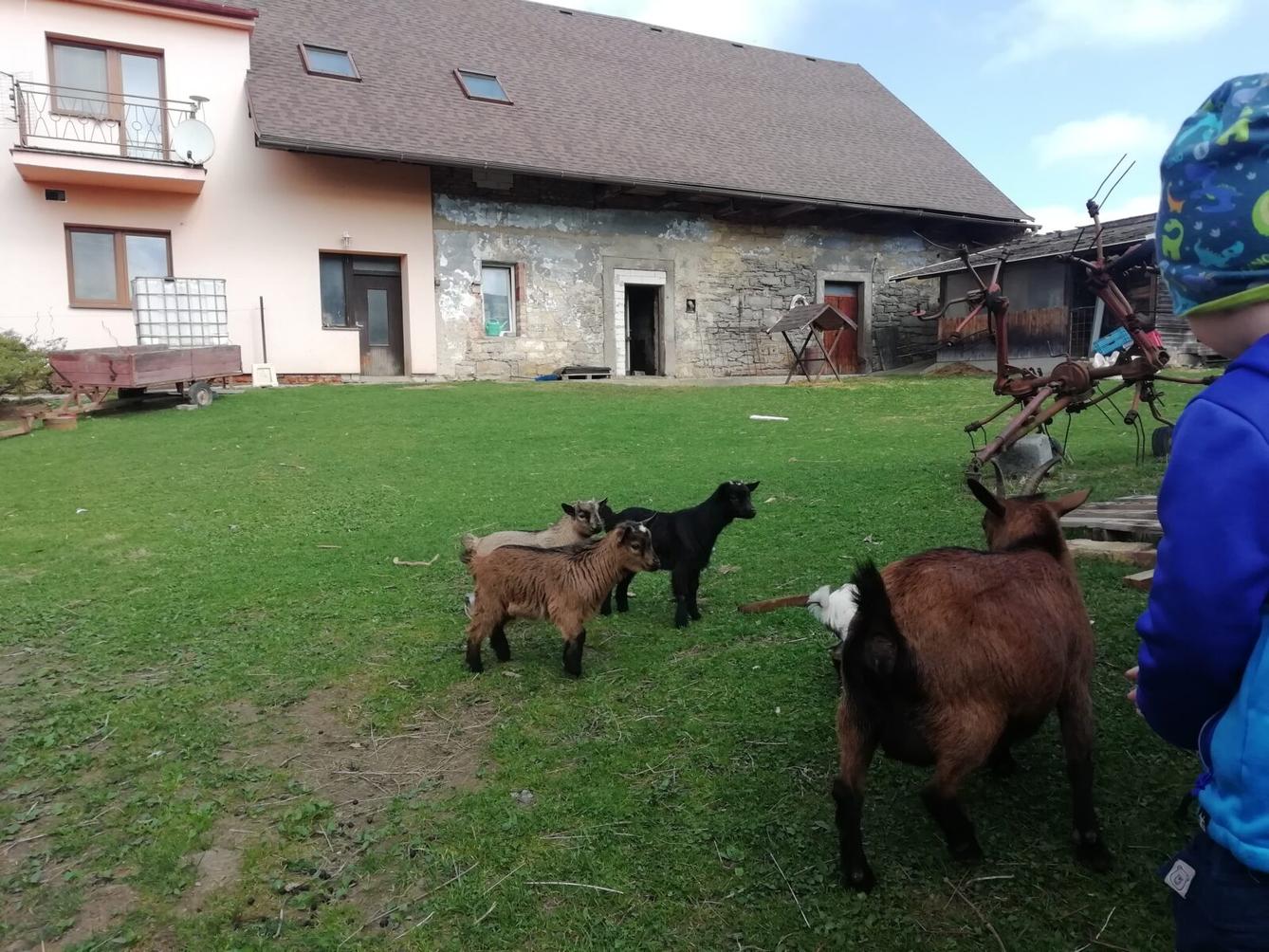 Broučci - Malované vajíčko - 26