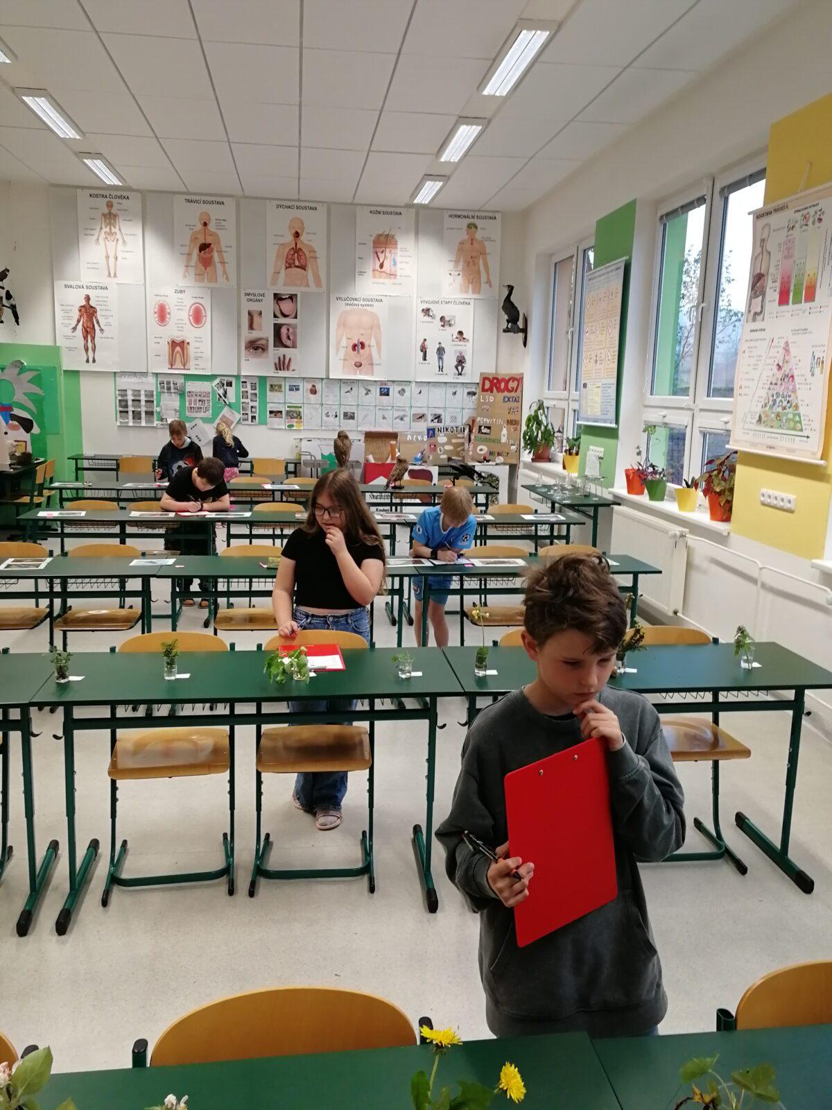 Poznávání přírodnin a minerálů - 1