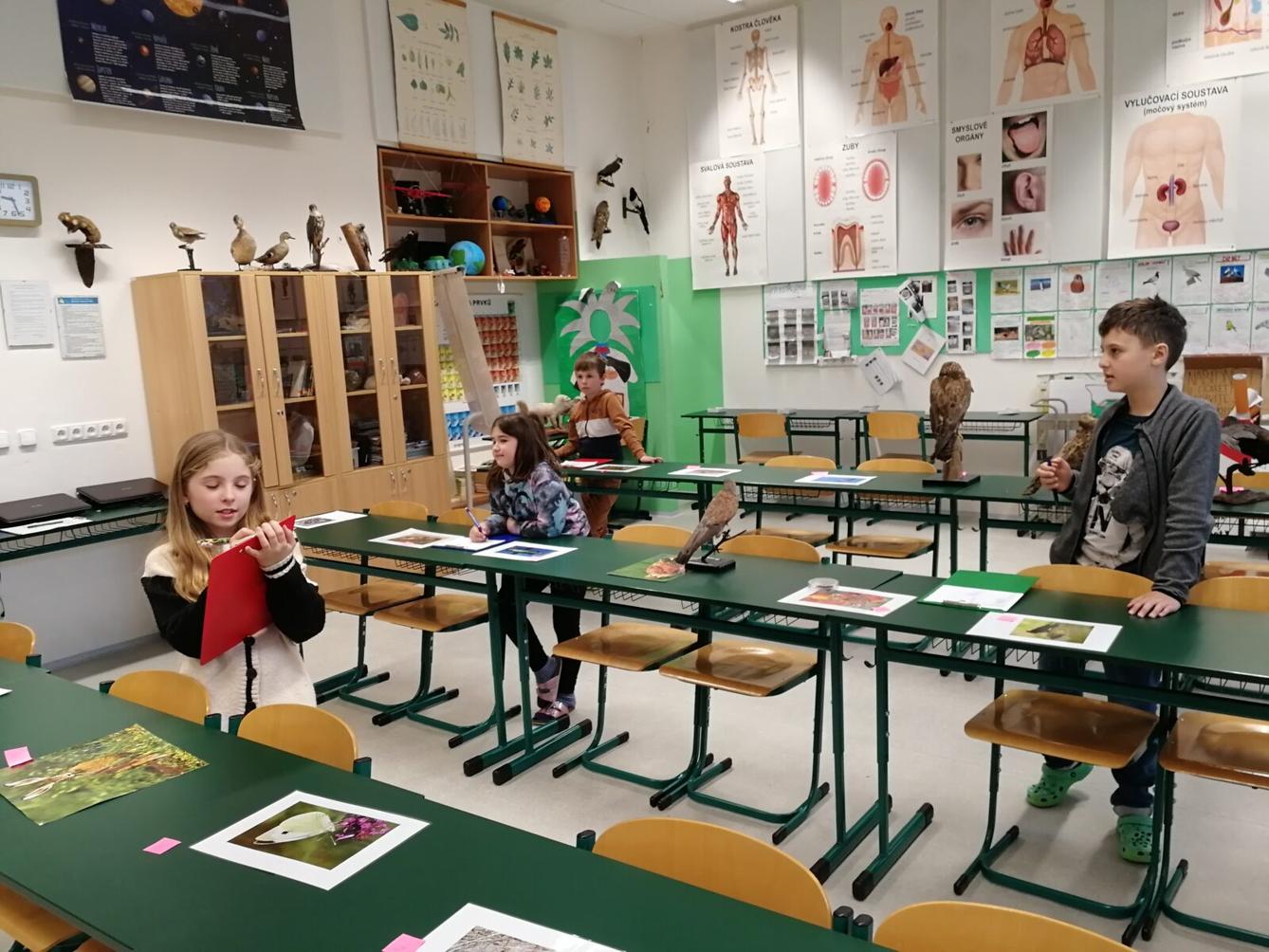 Poznávání přírodnin a minerálů - 4