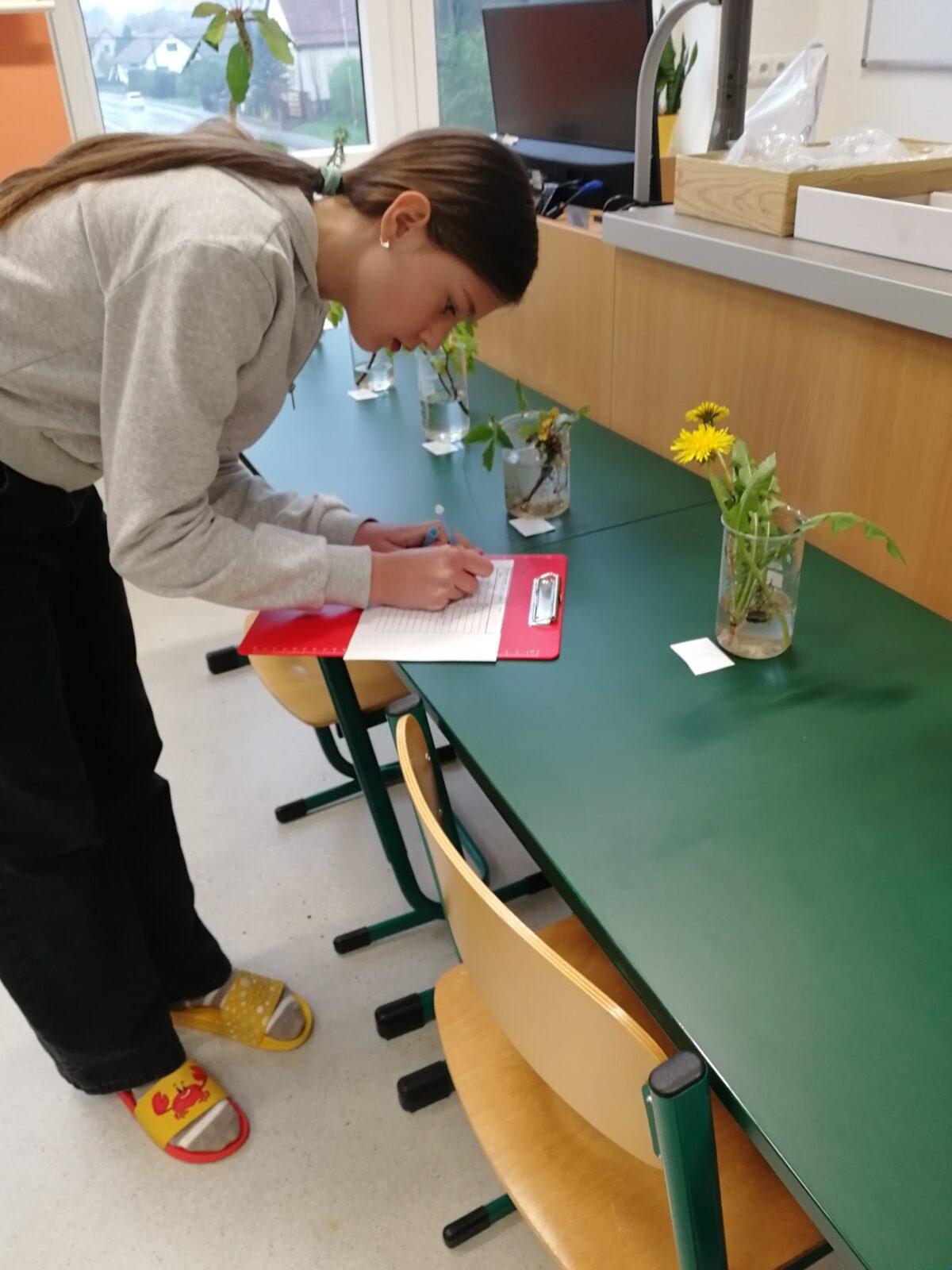 Poznávání přírodnin a minerálů - 5