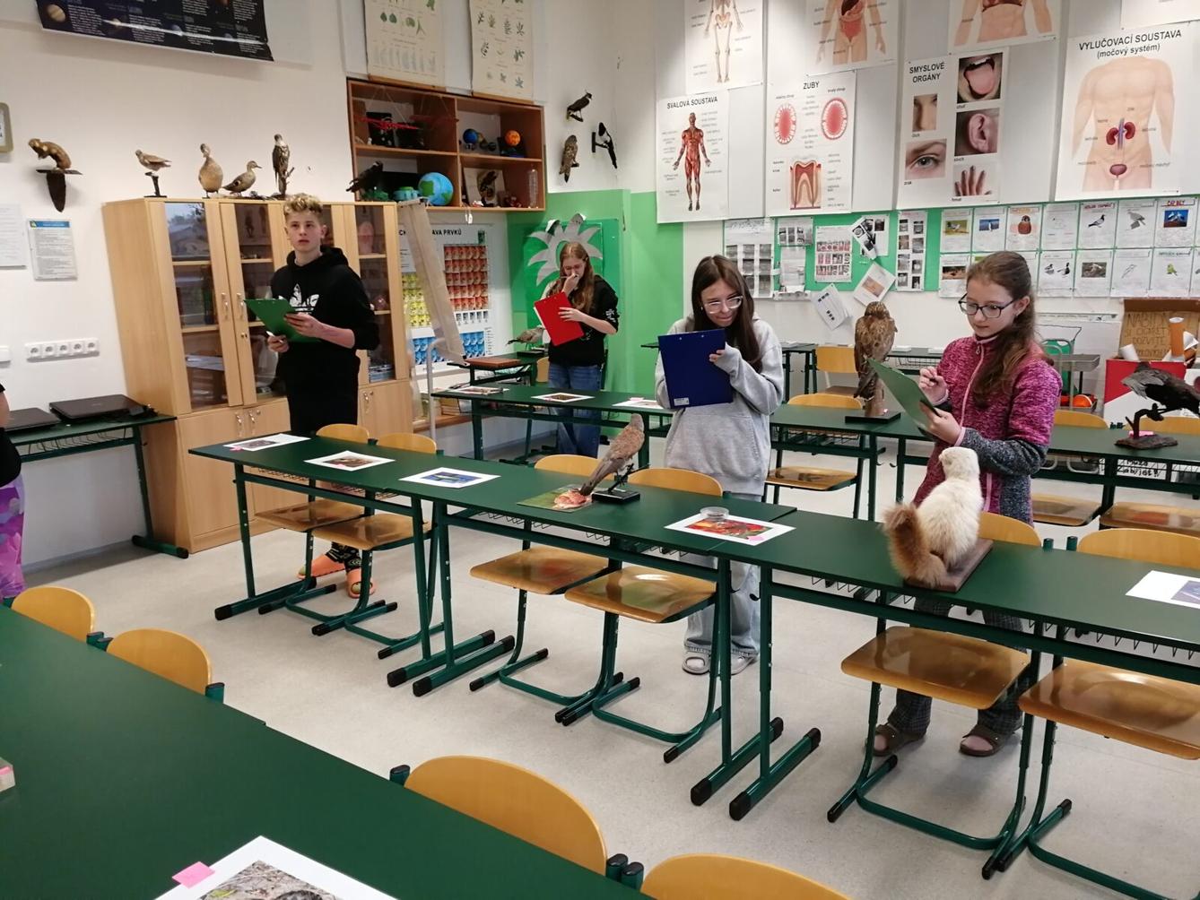 Poznávání přírodnin a minerálů - 7