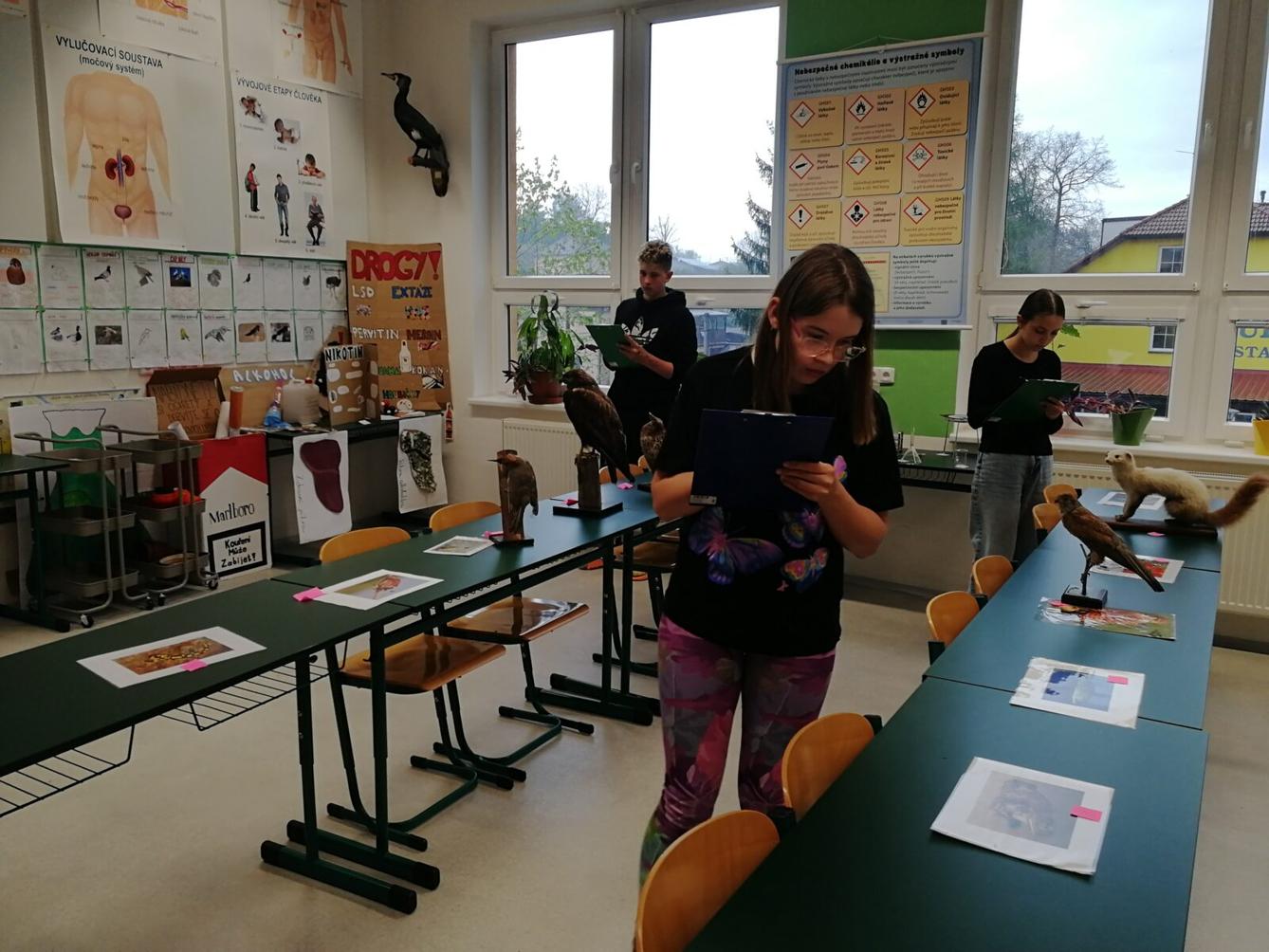 Poznávání přírodnin a minerálů - 8