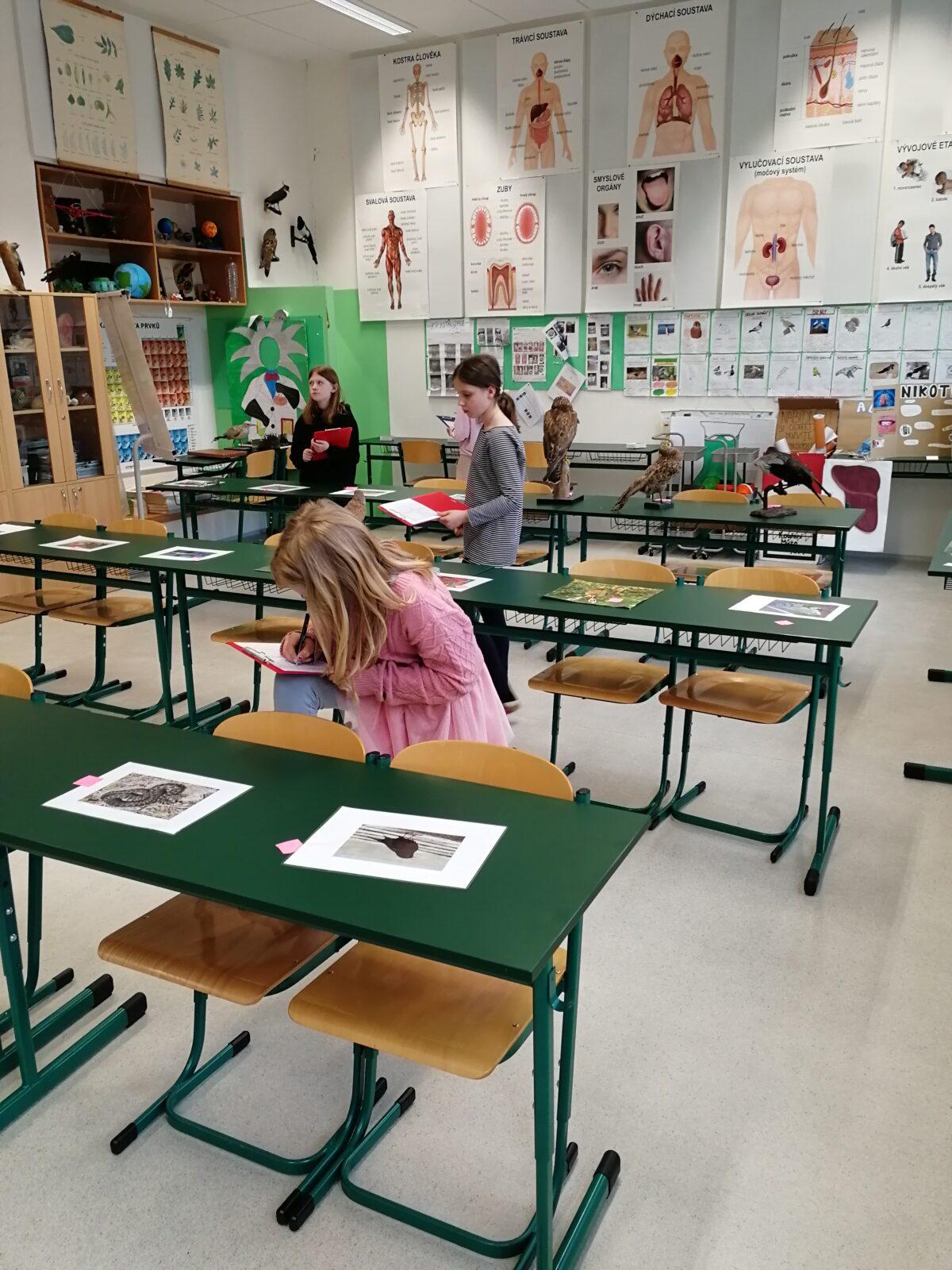 Poznávání přírodnin a minerálů - 9