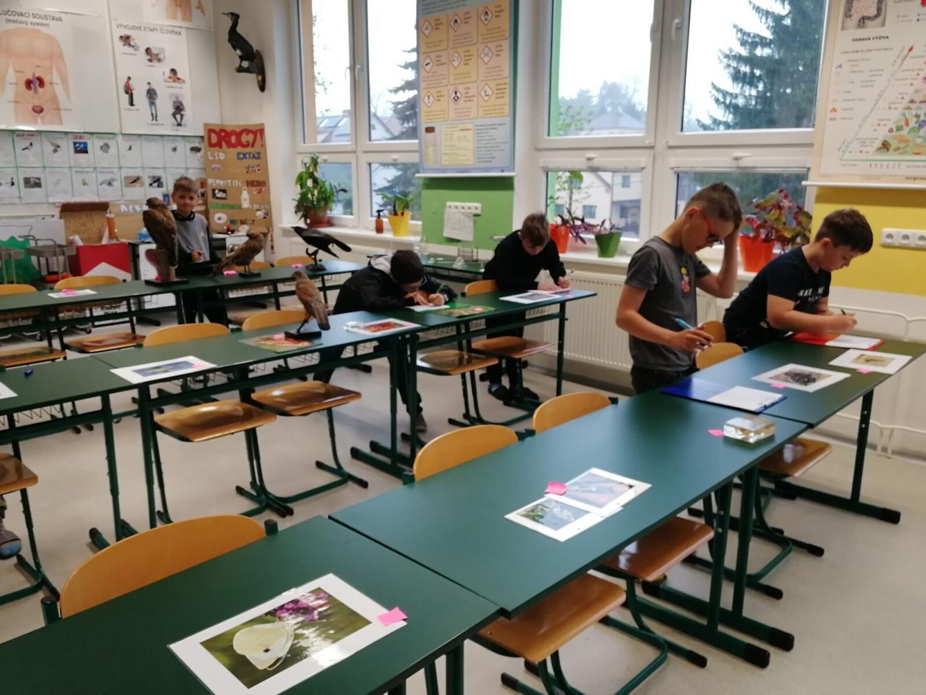 Poznávání přírodnin a minerálů - 12