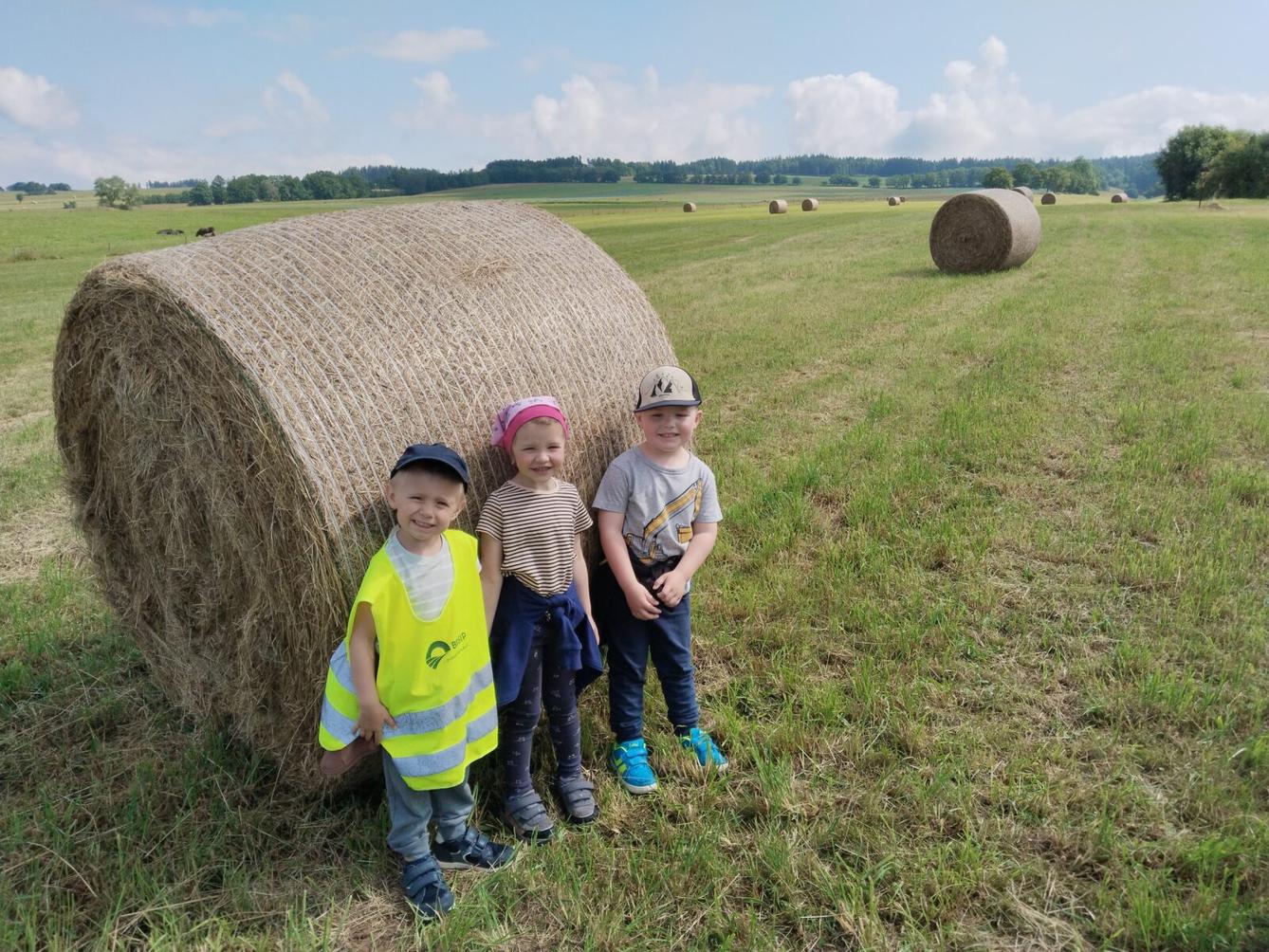 BROUČCI - ČÍM BUDU AŽ VYROSTU - 52