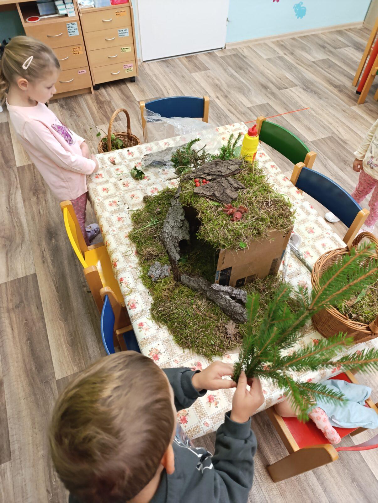 Broučci: poznáváme les - 24