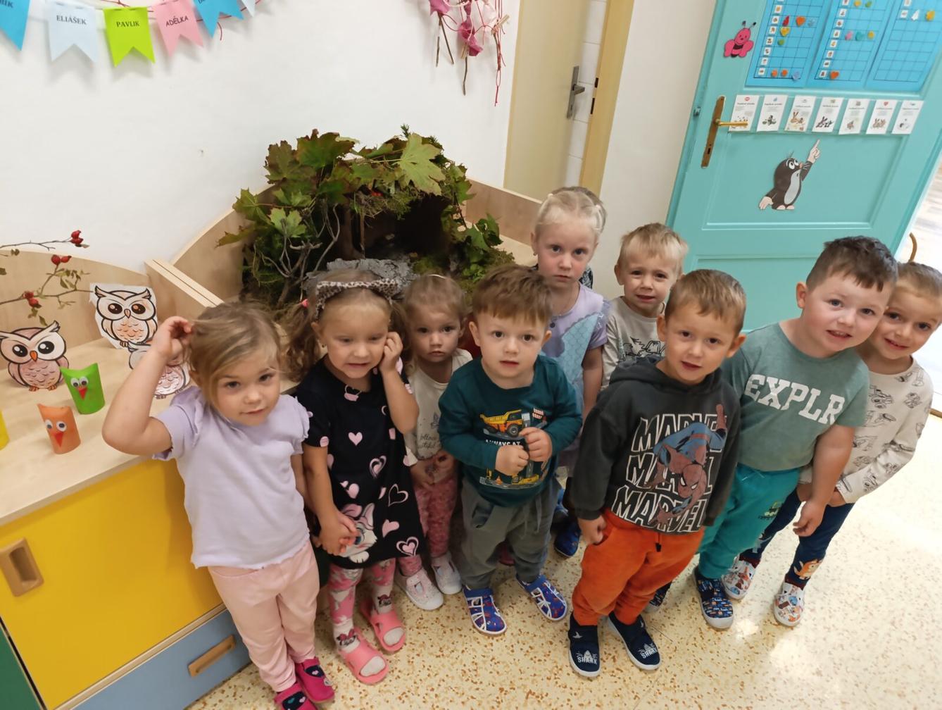 Broučci: poznáváme les - 33