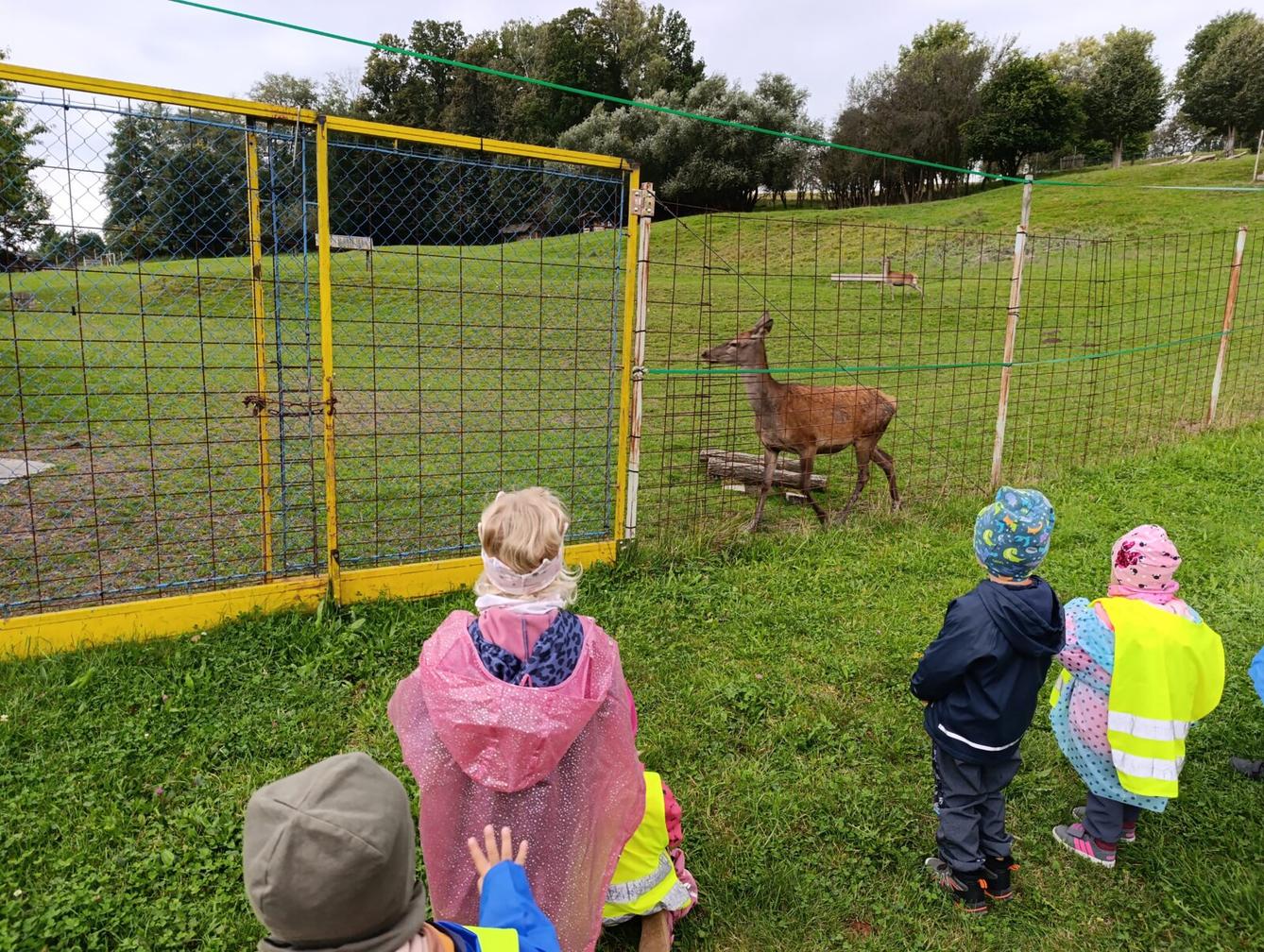 Broučci: poznáváme les - 51