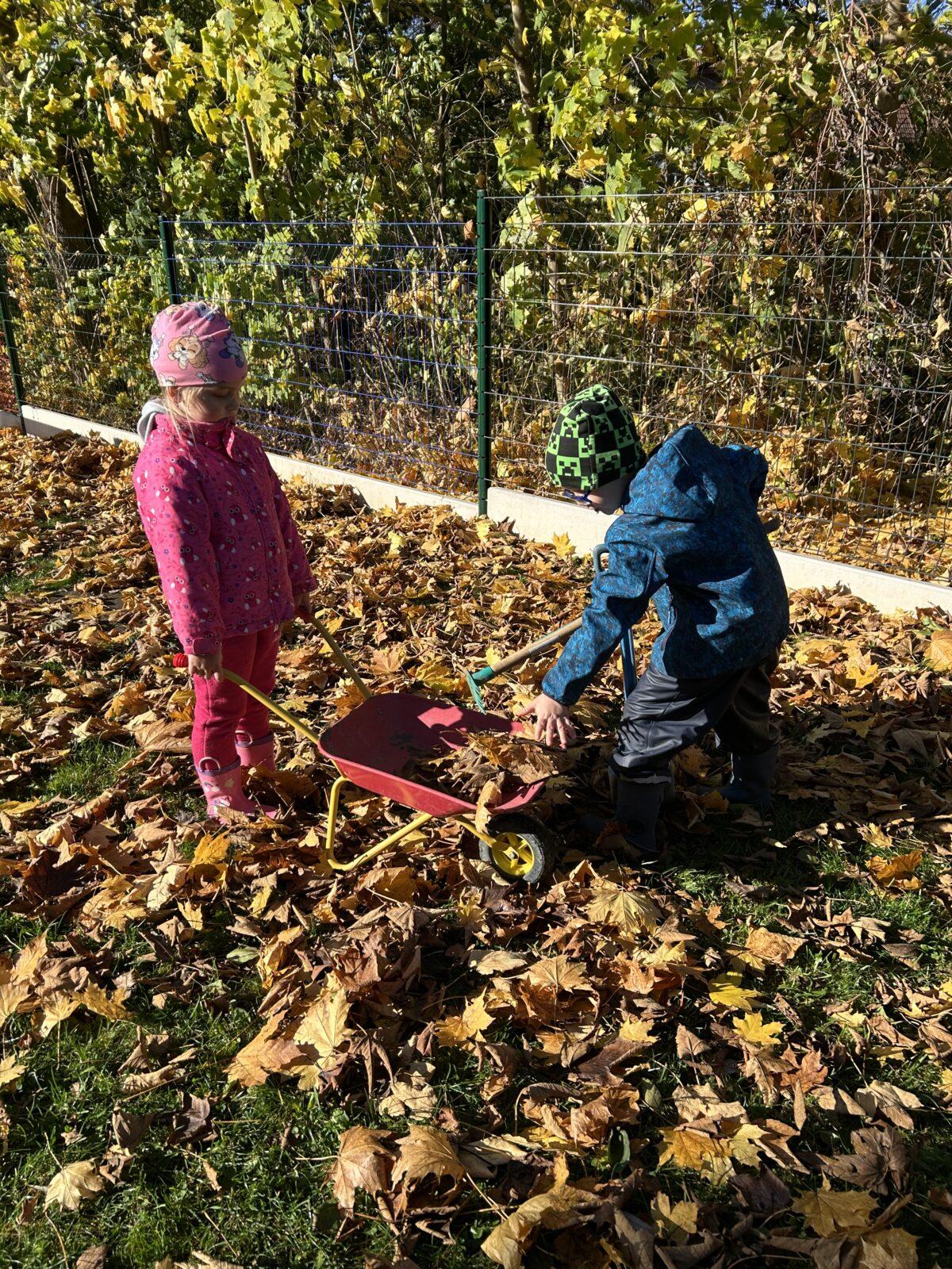 SOVIČKY: LISTÍ ŽLOUTNE POLETUJE - 3