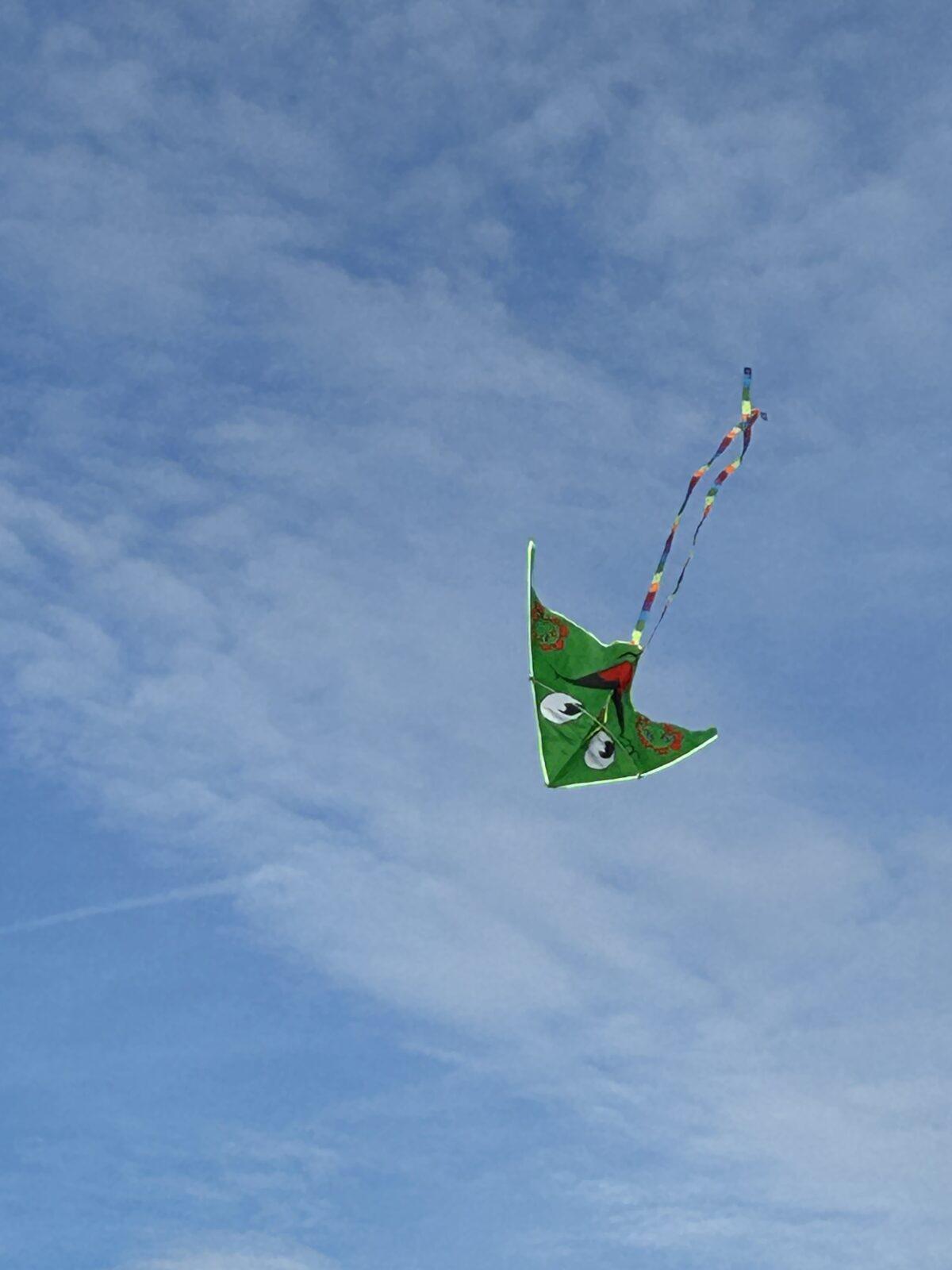 POUŠTĚNÍ DRAKA - 10