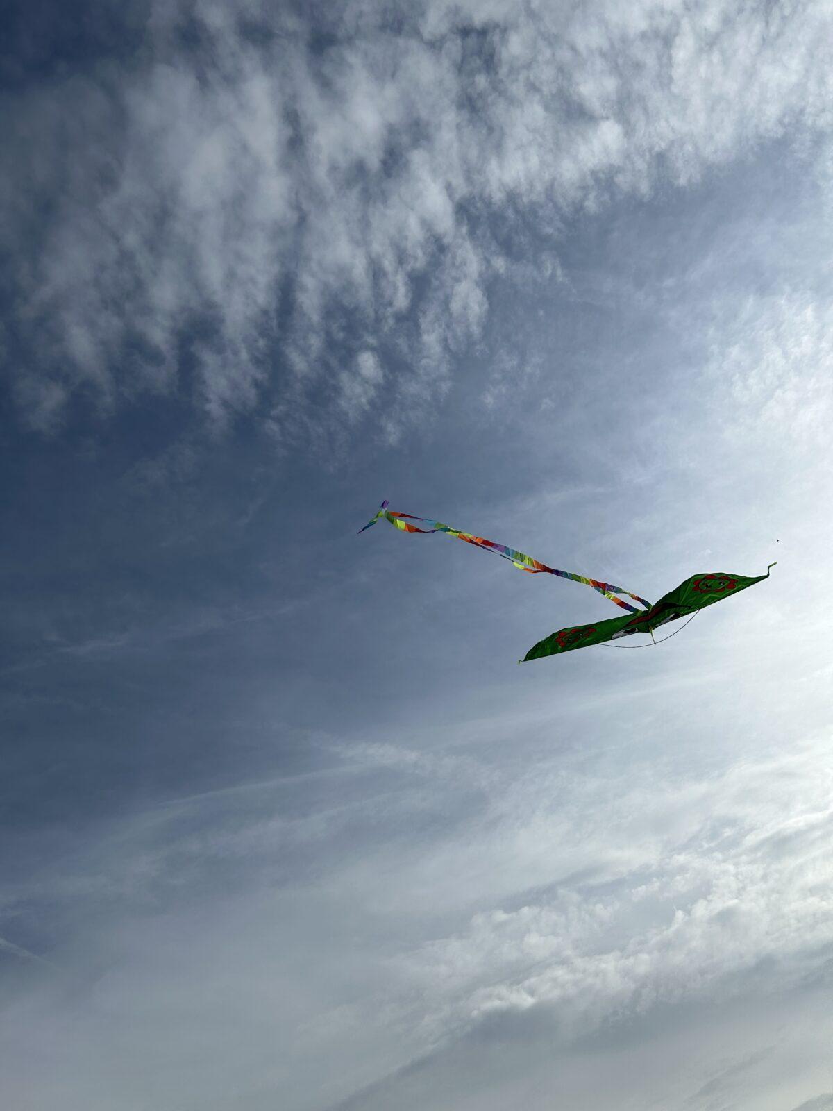 POUŠTĚNÍ DRAKA - 11