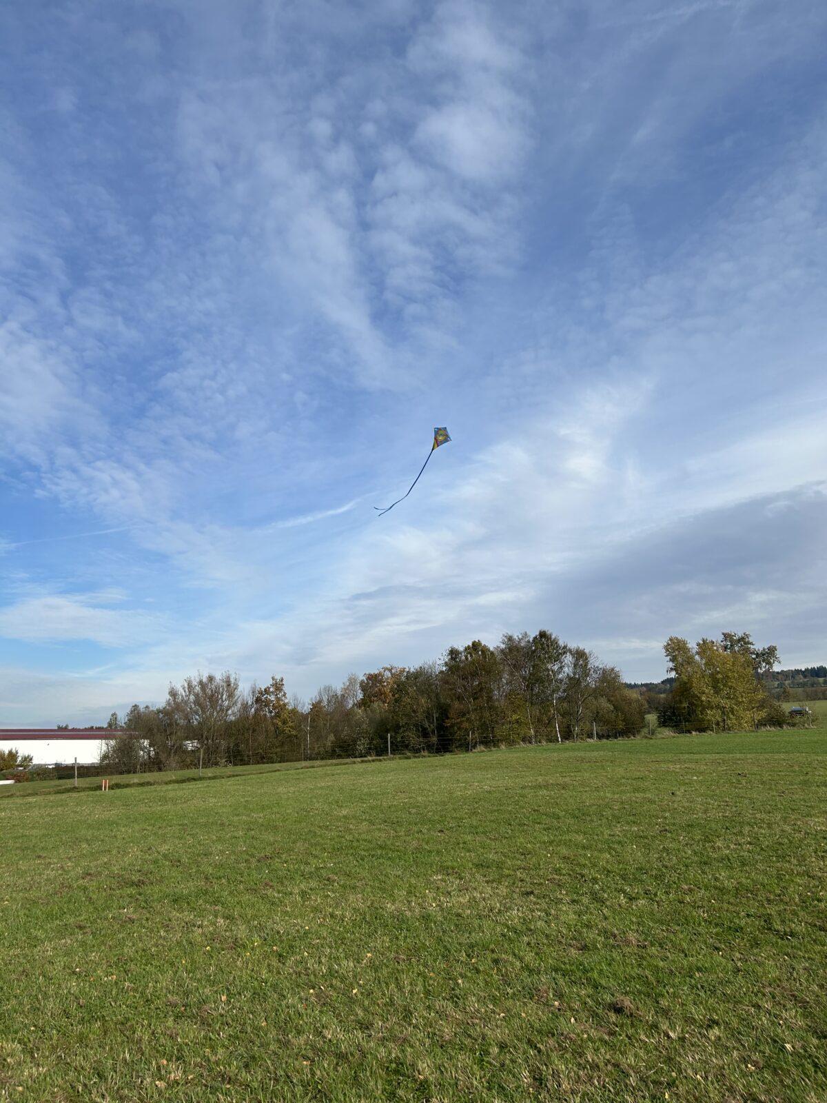 POUŠTĚNÍ DRAKA - 12