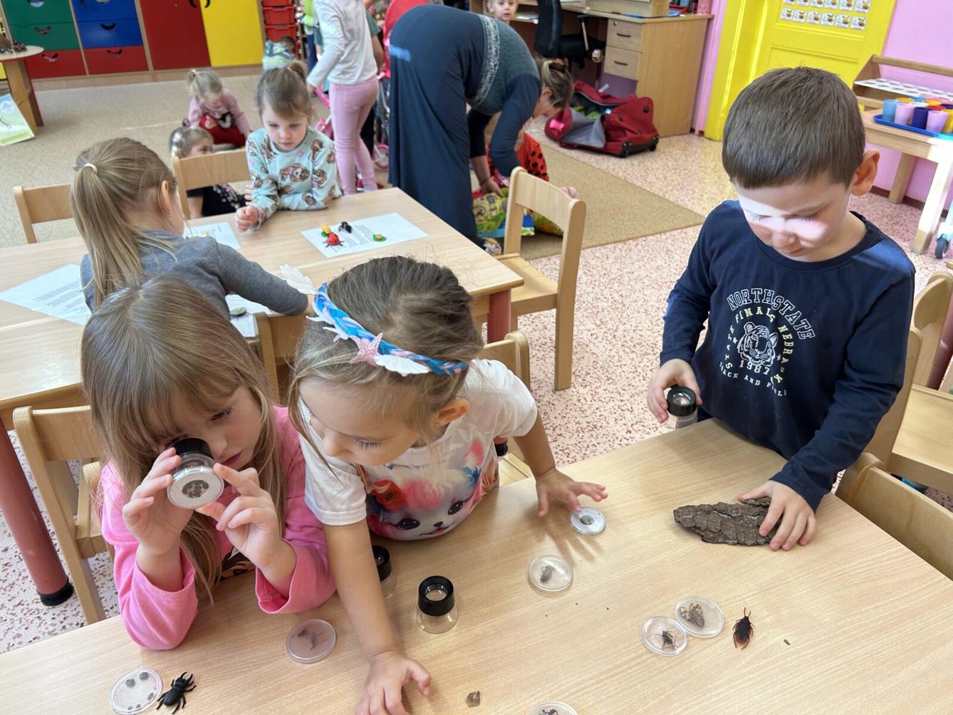 VZDĚLÁVACÍ PROGRAM - USPÁVÁNÍ BROUČKŮ - 29