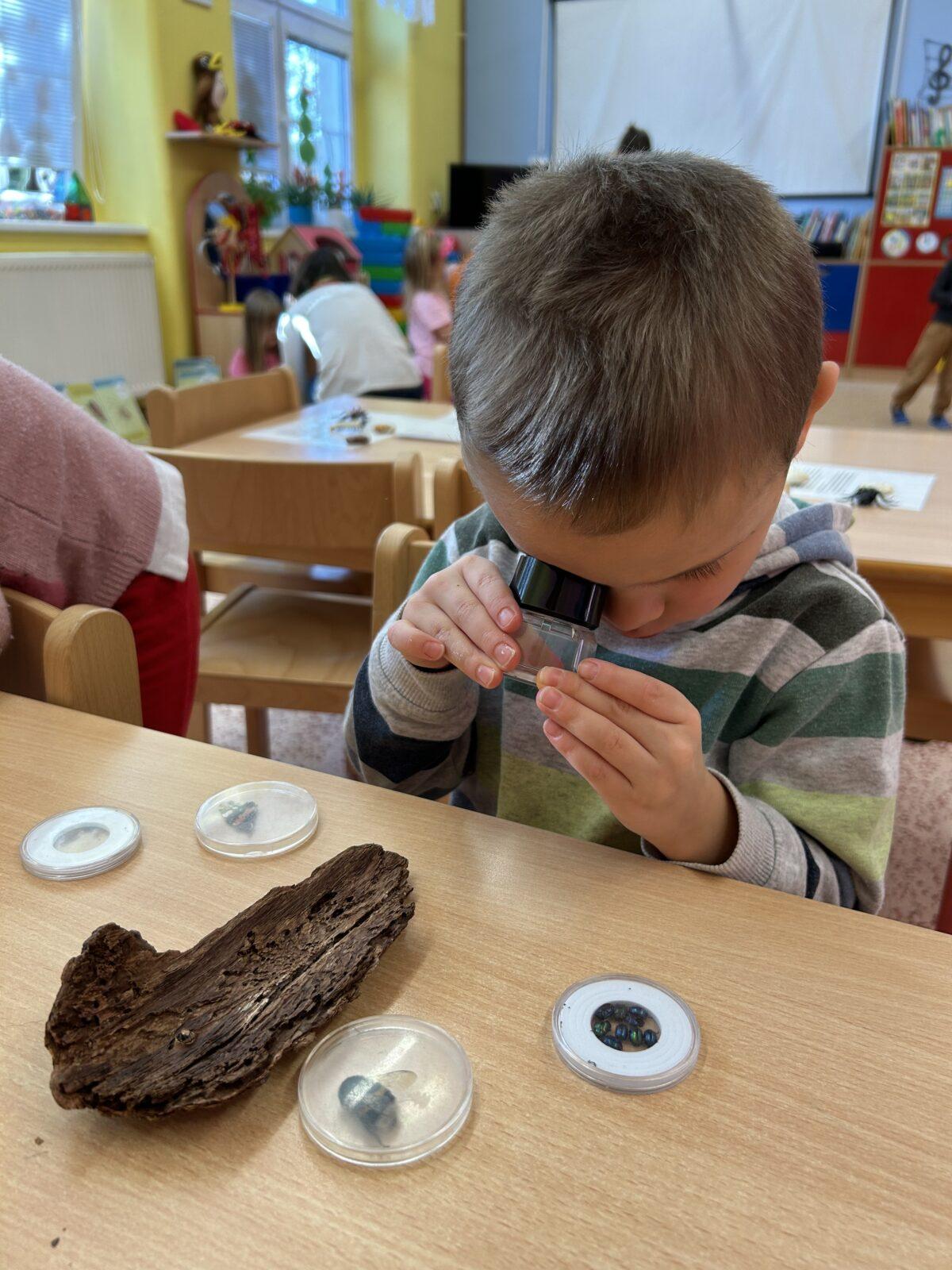 VZDĚLÁVACÍ PROGRAM - USPÁVÁNÍ BROUČKŮ - 37