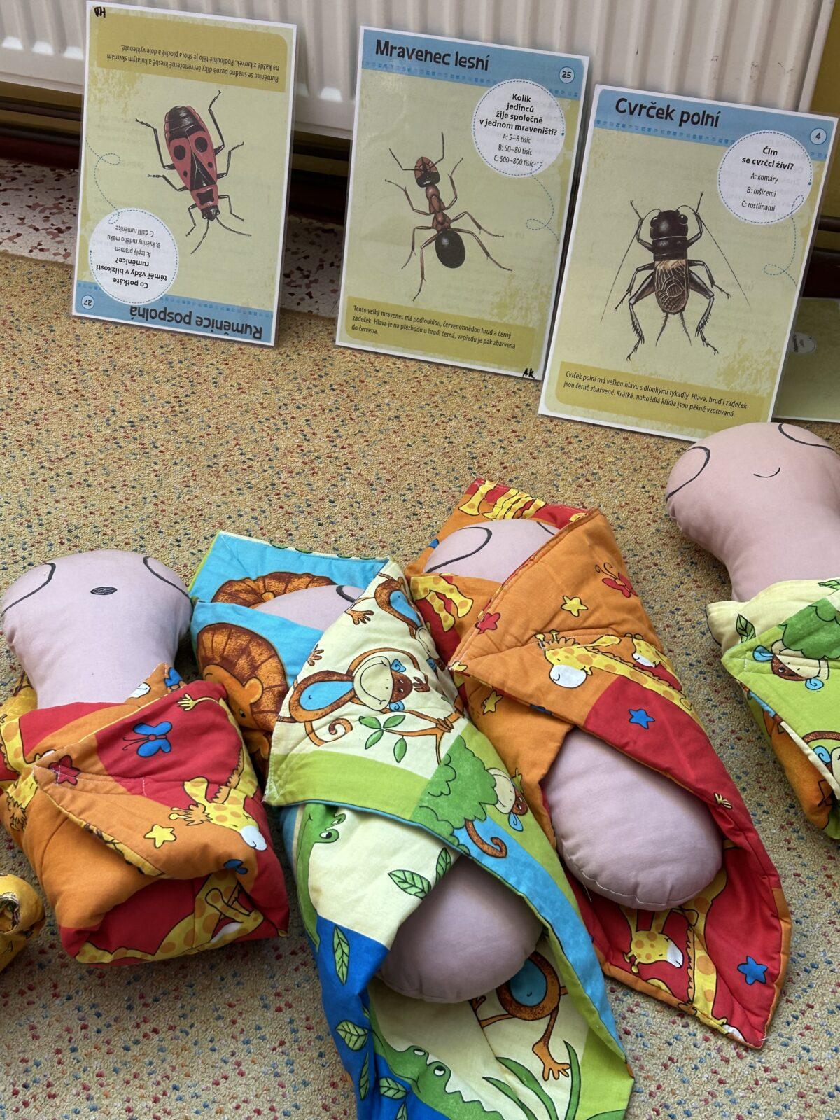 VZDĚLÁVACÍ PROGRAM - USPÁVÁNÍ BROUČKŮ - 50