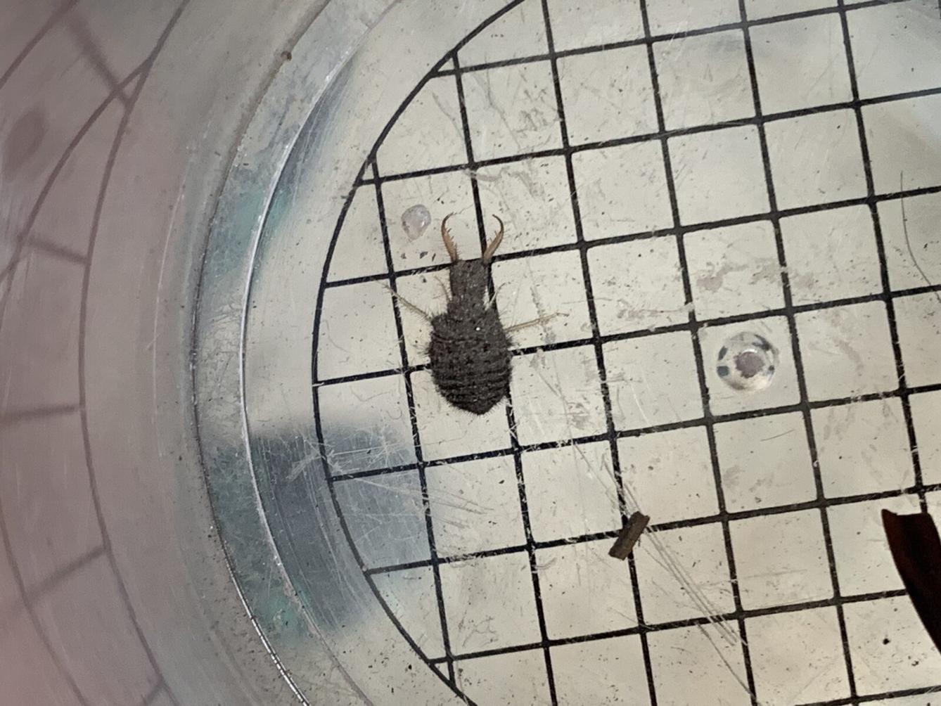 Adaptační kurz- den druhý - 11