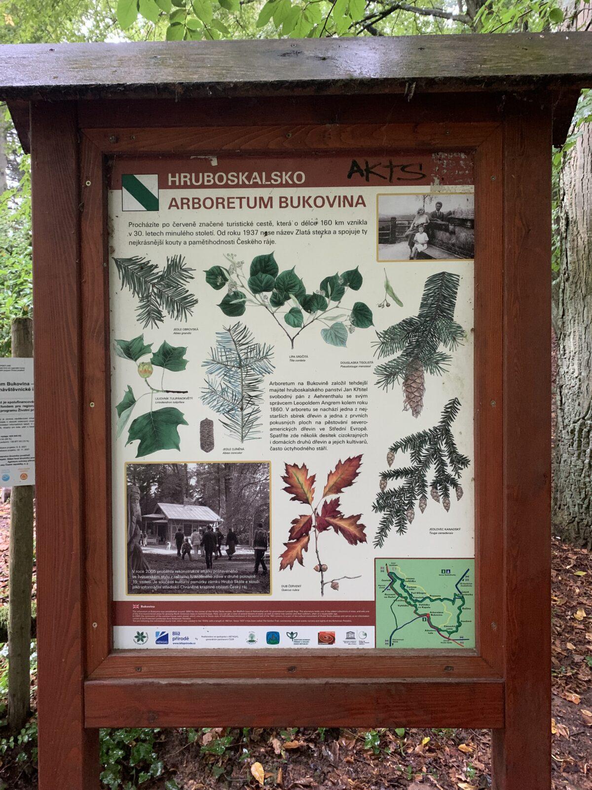 Adaptační kurz- den třetí - 4