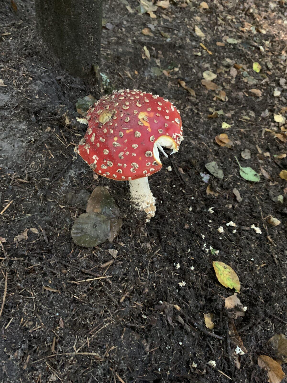 Adaptační kurz- den třetí - 17