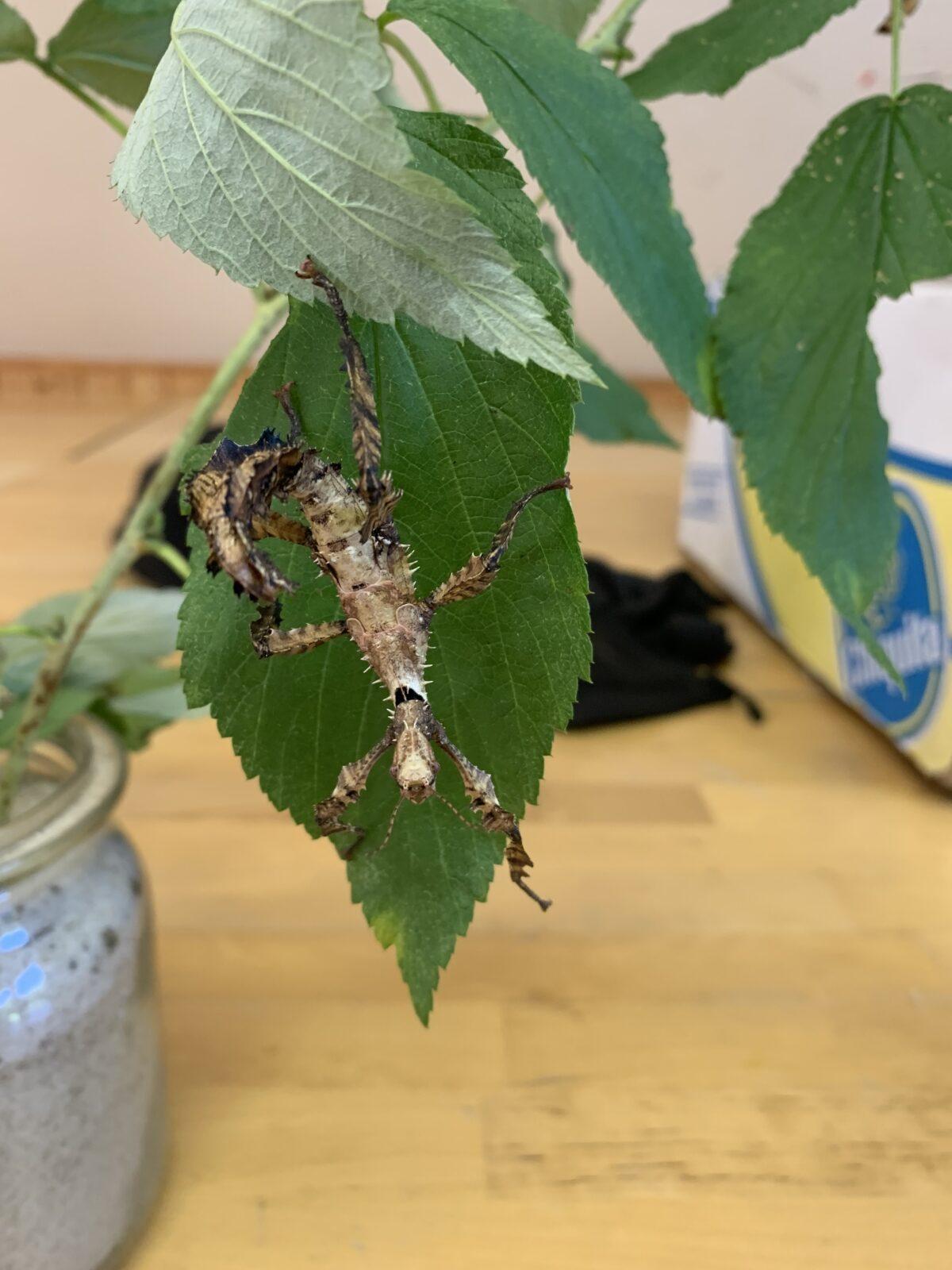 Adaptační kurz - den poslední - 8