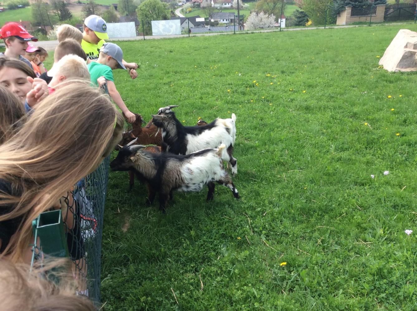 Duben v I. oddělení - 14