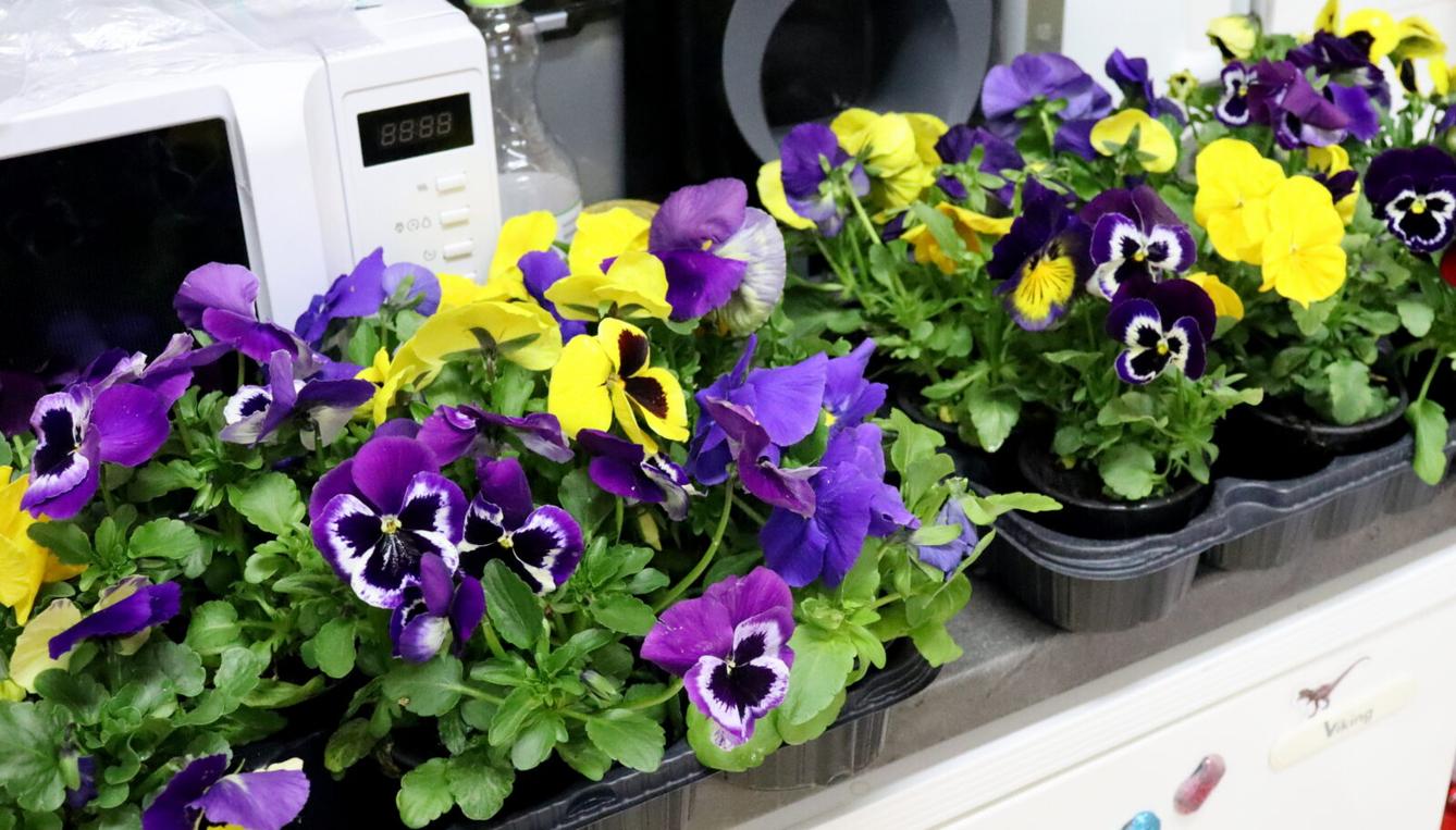 Zápis do 1. třídy - 4