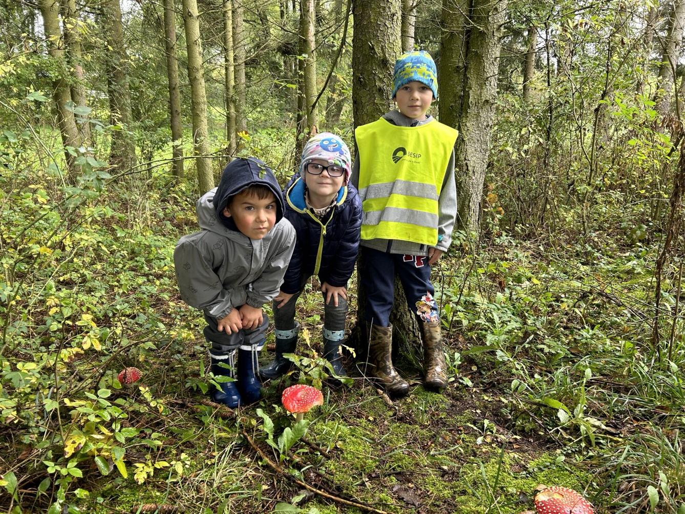 SOVIČKY: LESNÍ HRÁTKY SE ZVÍŘÁTKY - 14