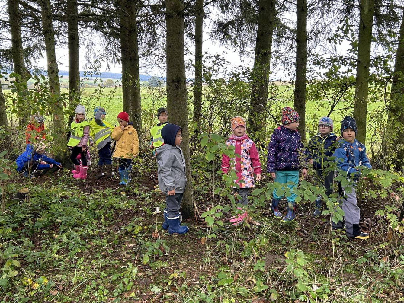 SOVIČKY: LESNÍ HRÁTKY SE ZVÍŘÁTKY - 18