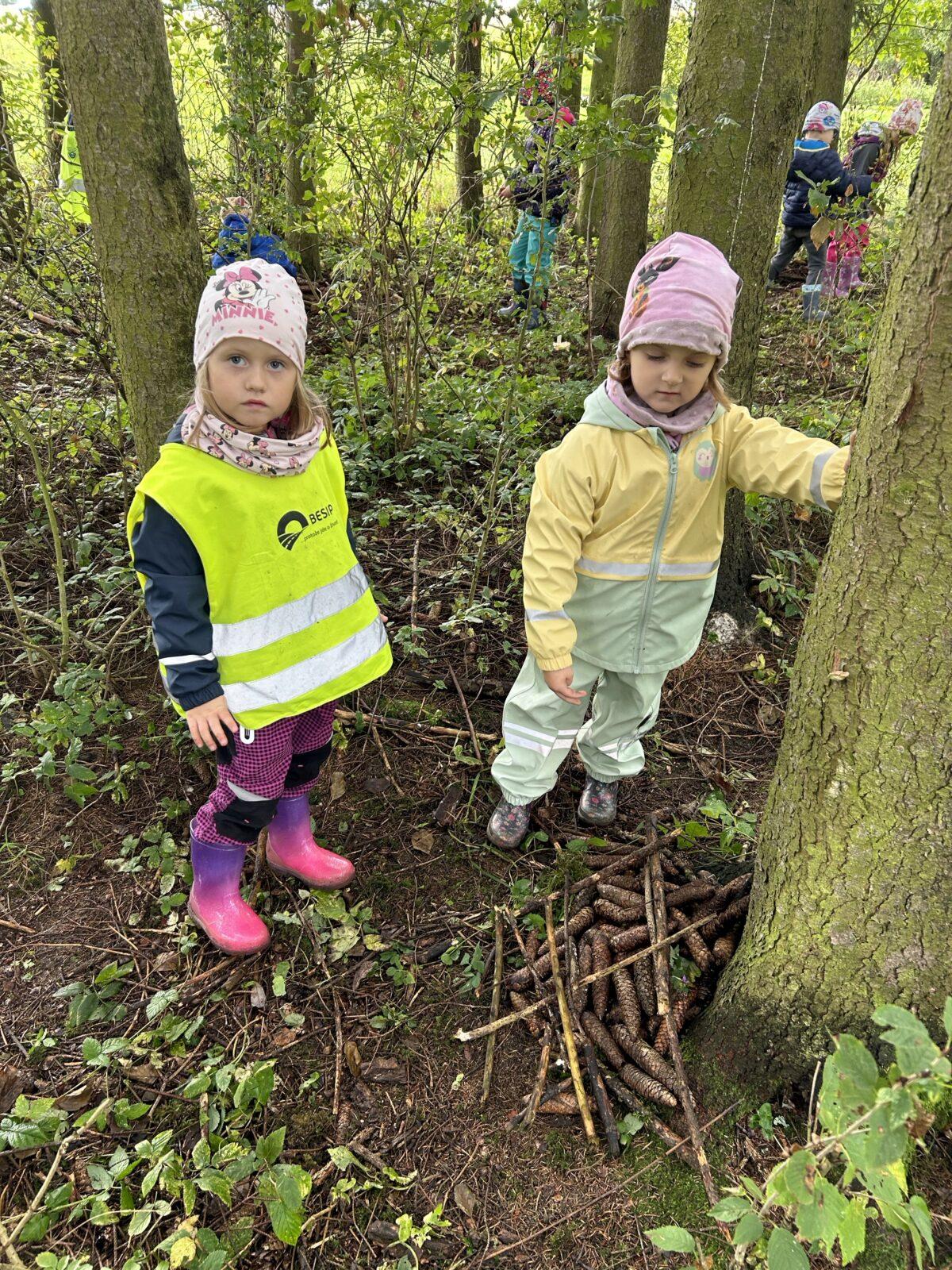 SOVIČKY: LESNÍ HRÁTKY SE ZVÍŘÁTKY - 21