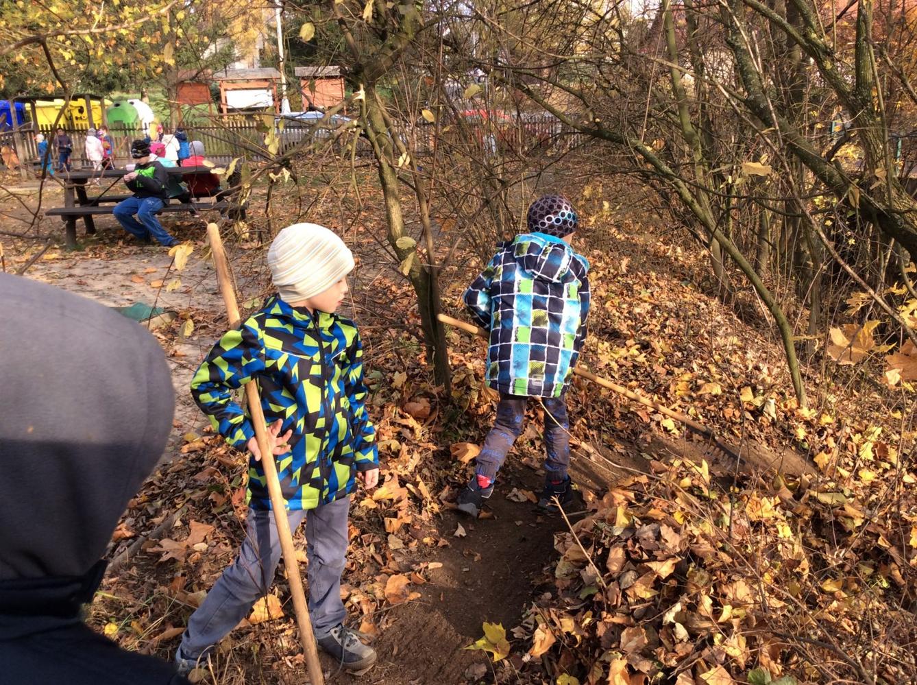 II. oddělení LISTOPAD - 20