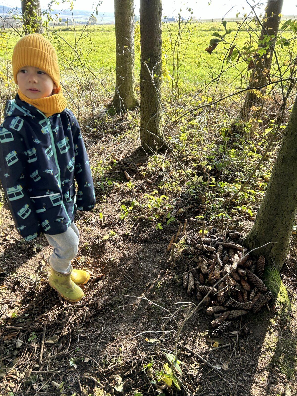 SOVIČKY: LISTÍ ŽLOUTNE, POLETUJE - 43