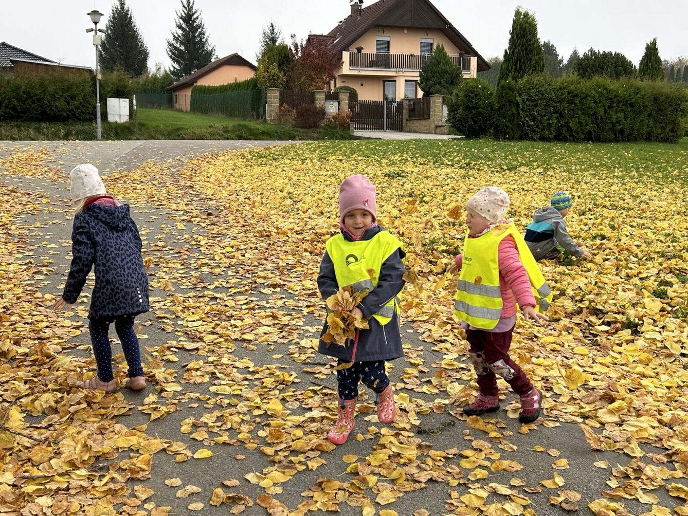 SOVIČKY: LISTÍ ŽLOUTNE, POLETUJE - 47