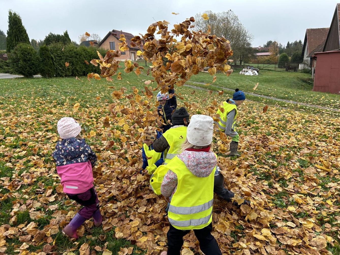 SOVIČKY: LISTÍ ŽLOUTNE, POLETUJE - 60
