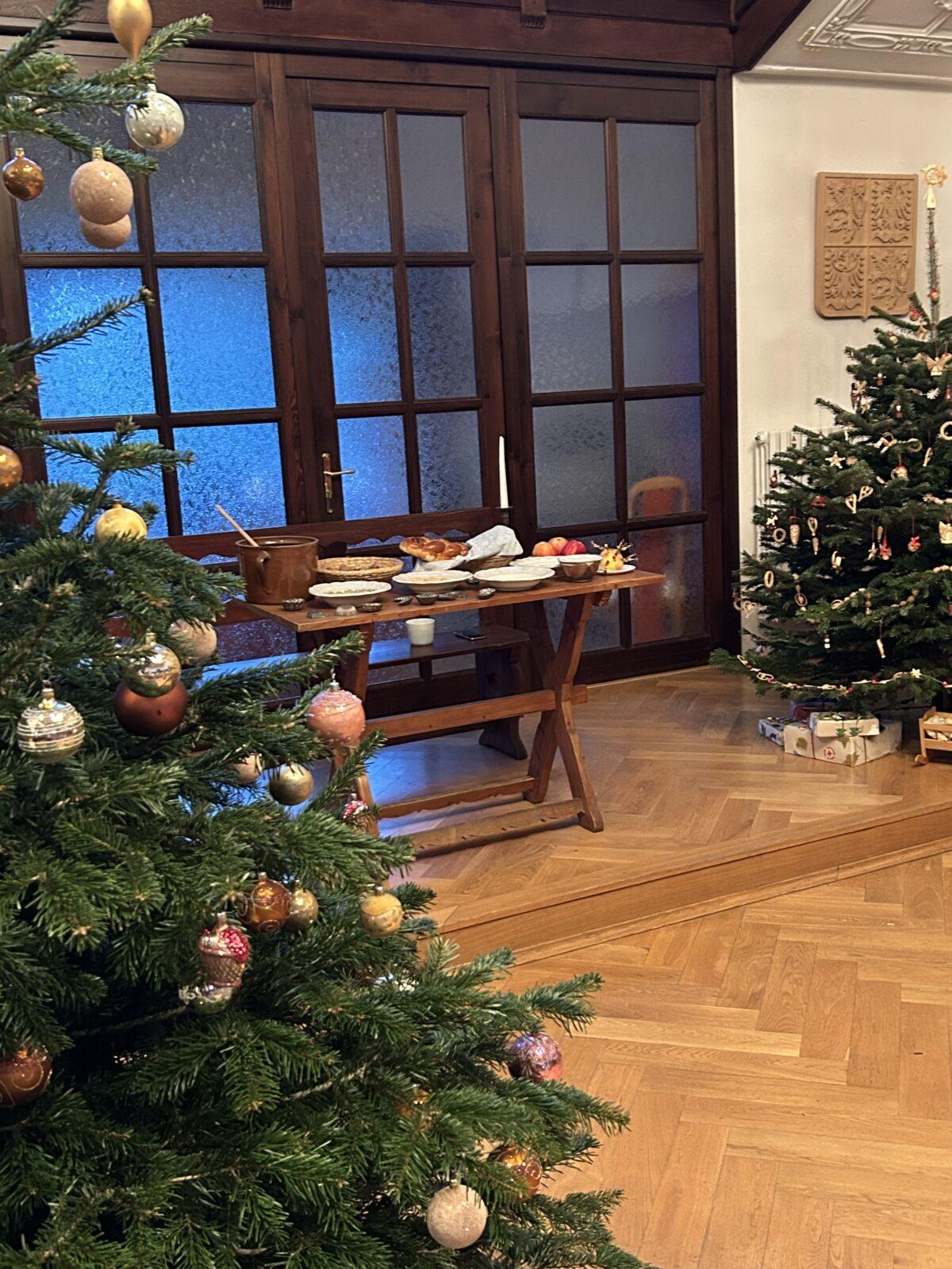 NÁVŠTĚVA MUZEA - VÁNOČNÍ TRADICE - 25