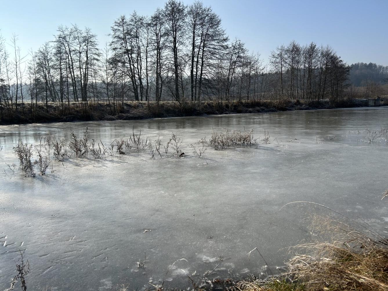 SOVIČKY: KOLOBĚH VODY V PŘÍRODĚ - 1