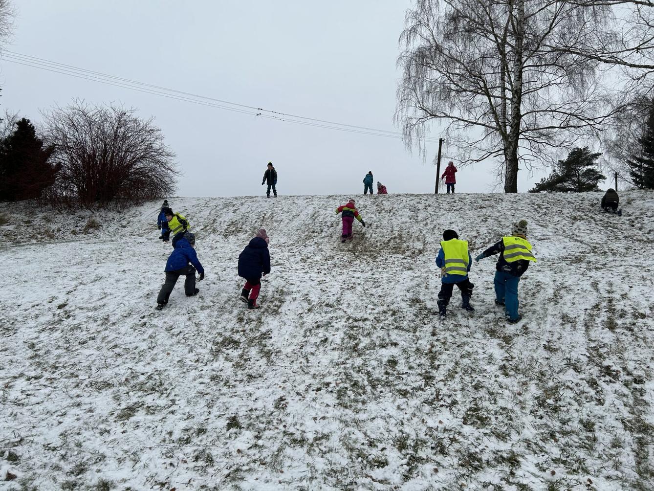 SOVIČKY: ZIMA NÁM NEVADÍ - 12